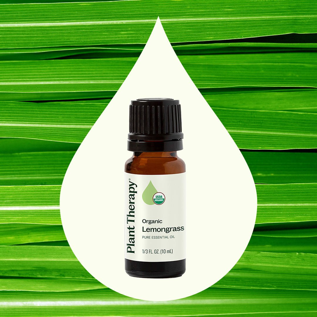Organic Lemongrass Essential Oil Plant Therapy