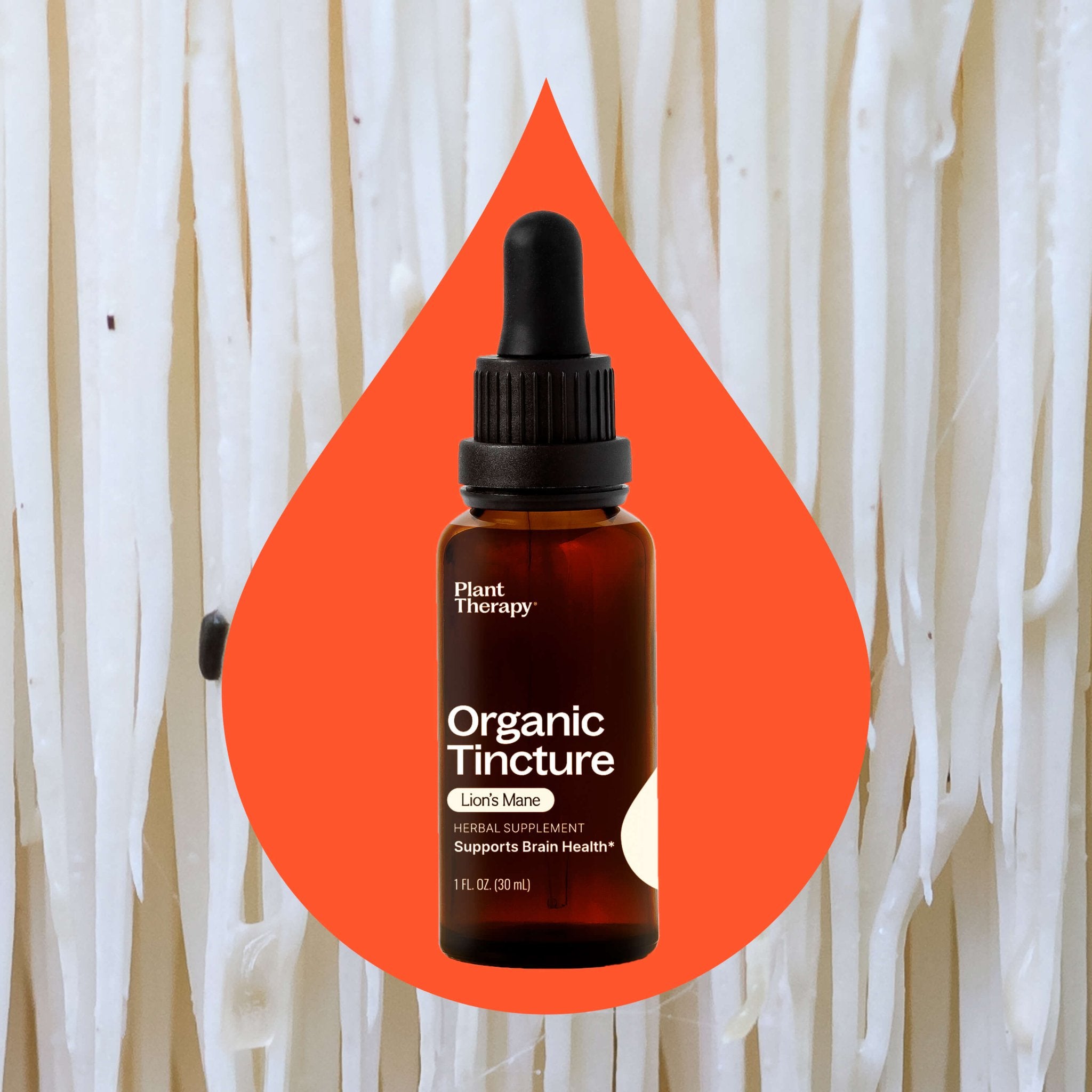 Organic Lion's Mane Tincture Plant Therapy