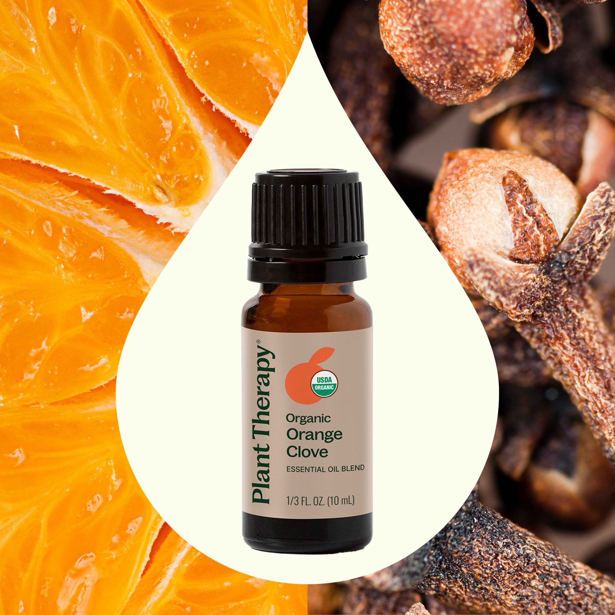 Organic Orange Clove Essential Oil Blend Plant Therapy