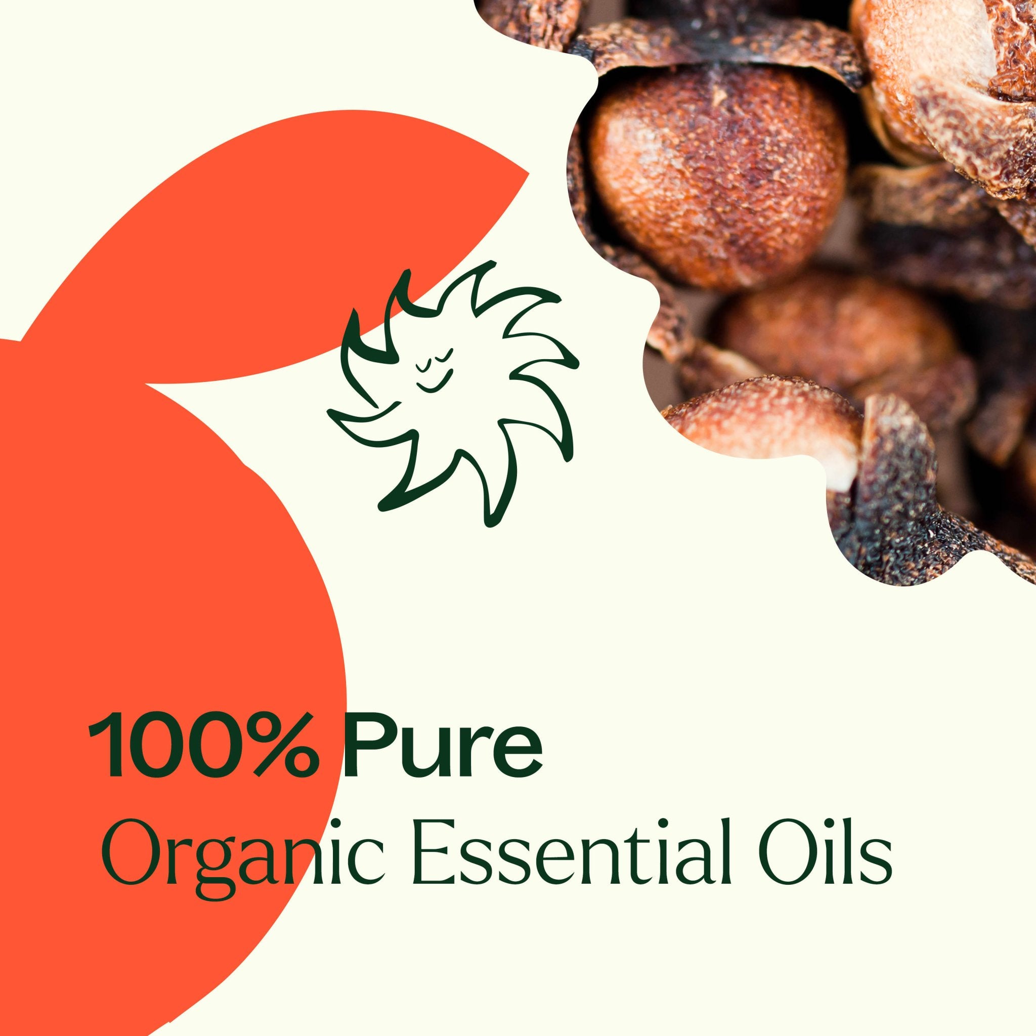 Organic Orange Clove Essential Oil Blend Plant Therapy