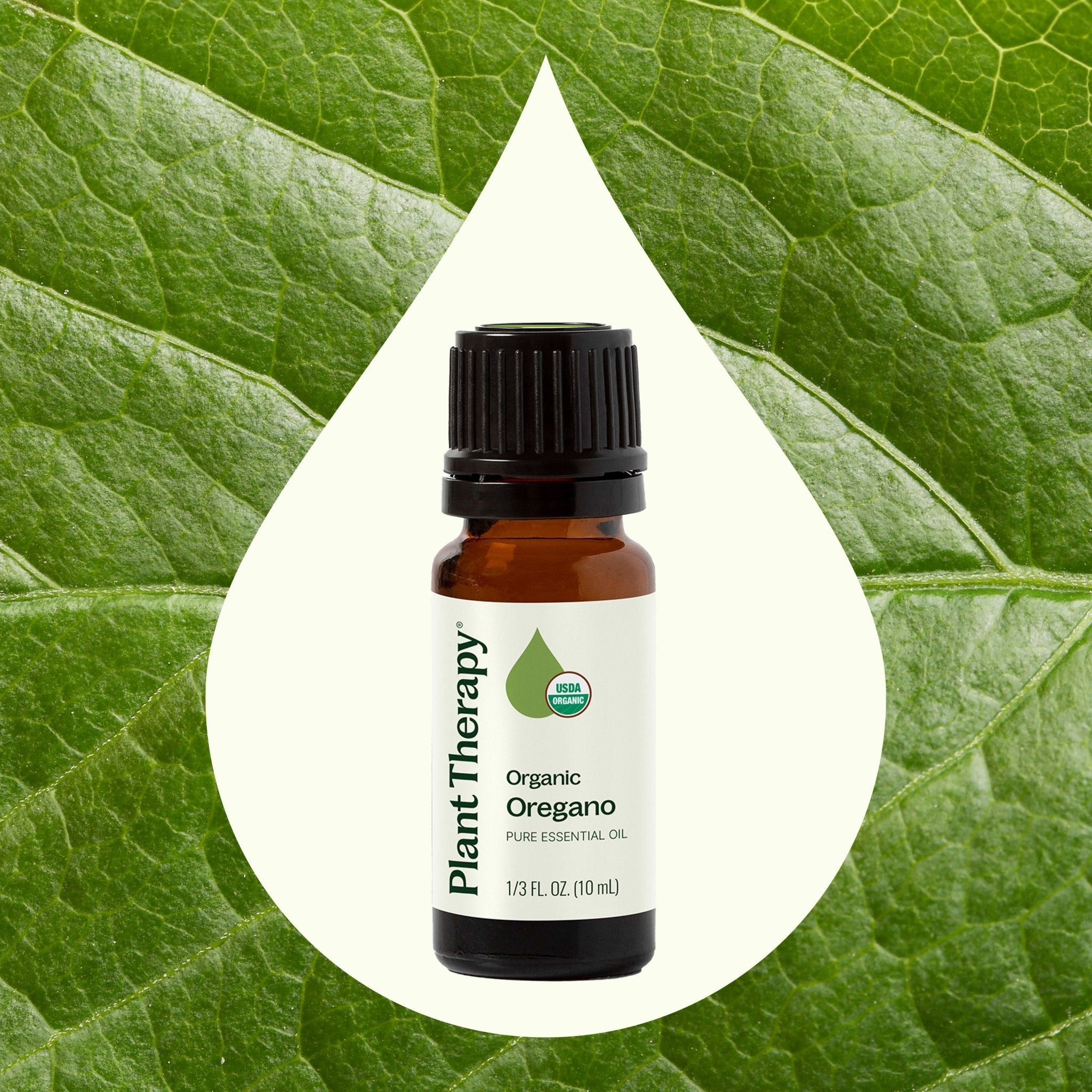 Organic Oregano Essential Oil Plant Therapy