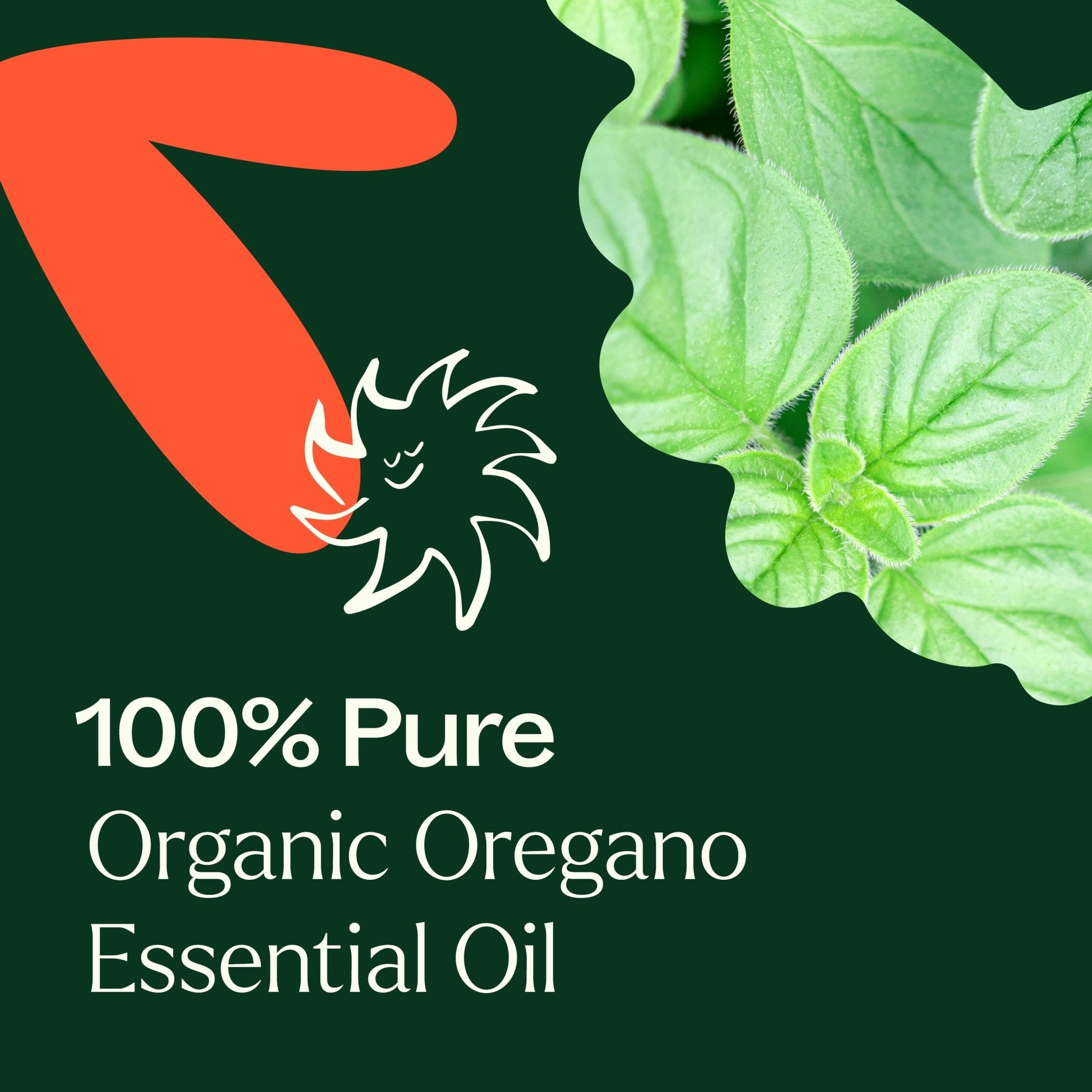 Organic Oregano Essential Oil Plant Therapy