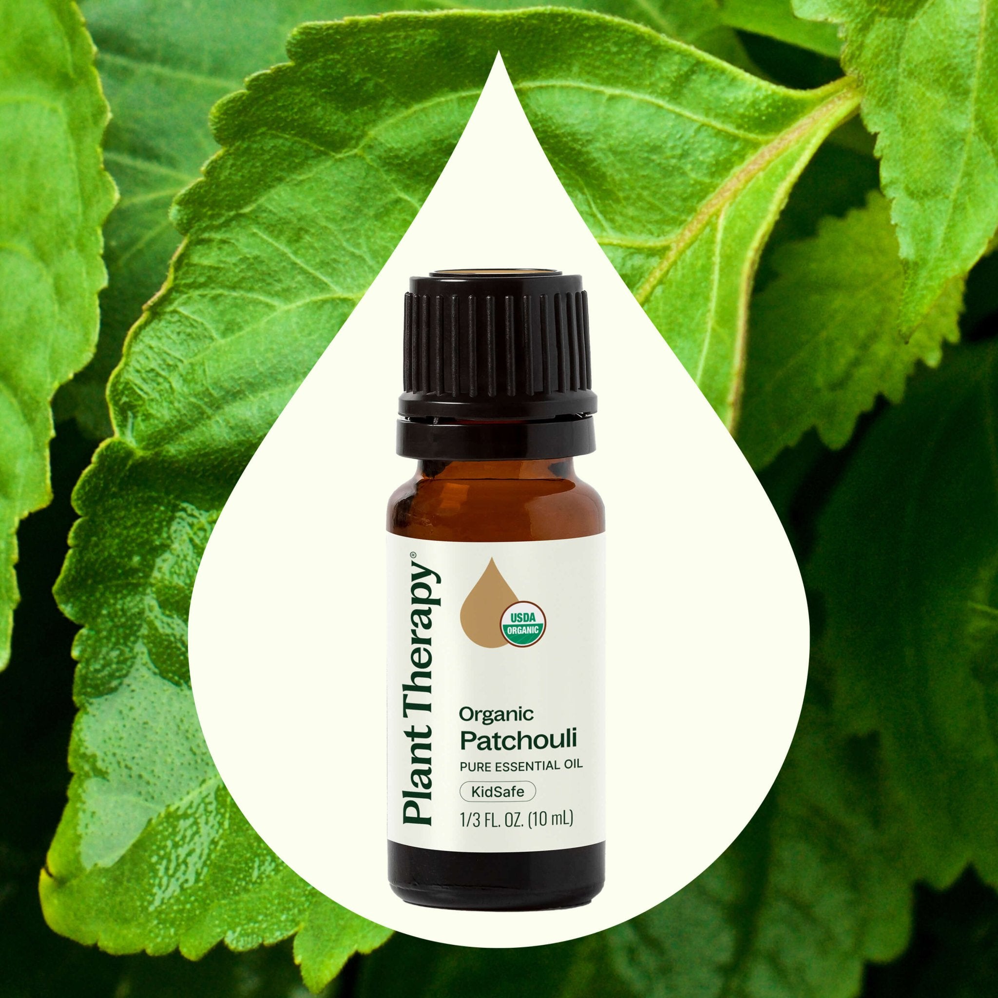 Organic Patchouli Essential Oil Plant Therapy