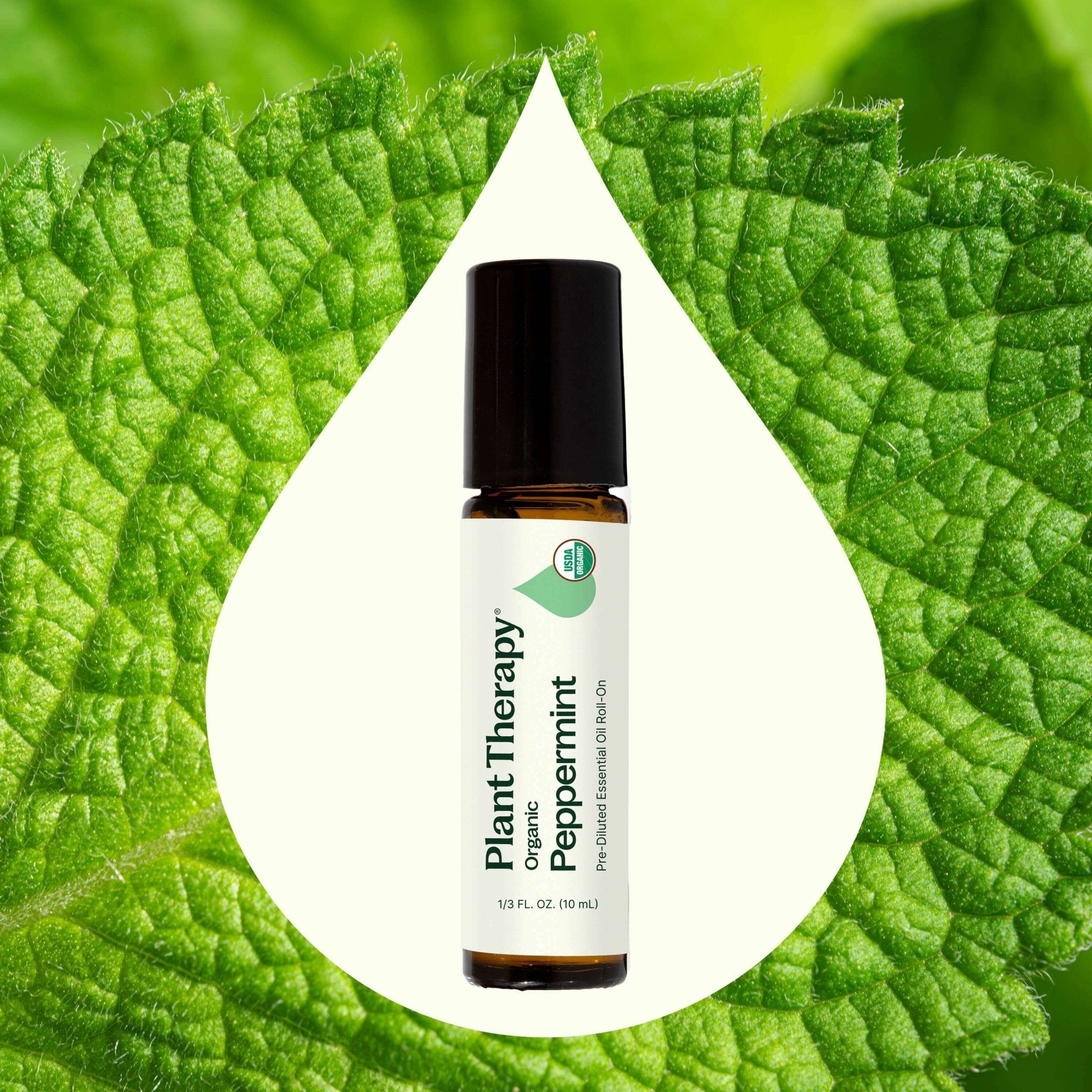 Organic Peppermint Essential Oil Pre - Diluted Roll - On Plant Therapy