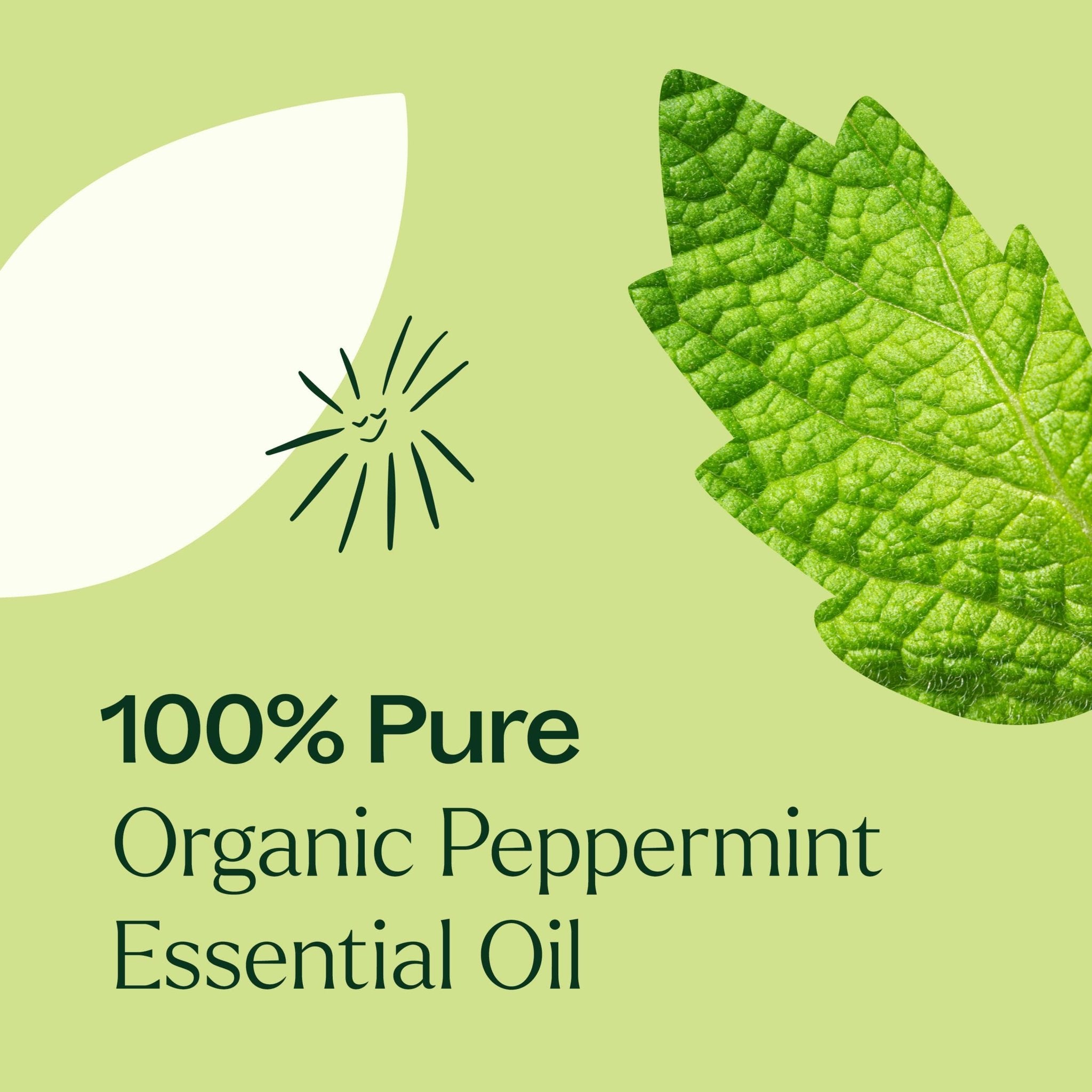 Organic Peppermint Essential Oil Pre - Diluted Roll - On Plant Therapy