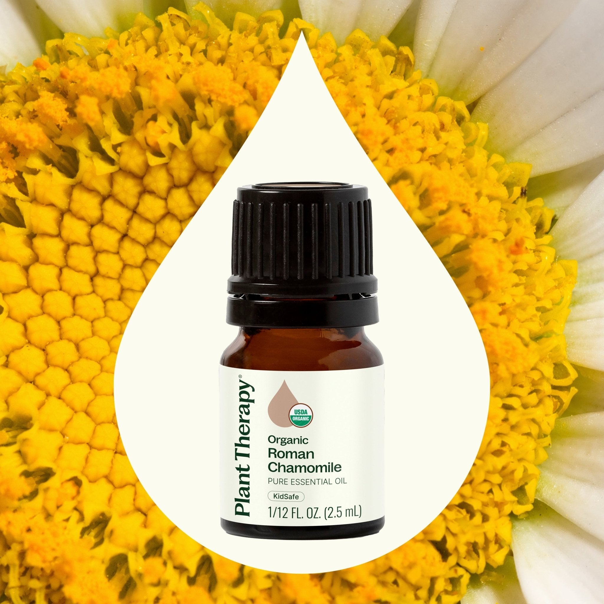 Organic Roman Chamomile Essential Oil Plant Therapy