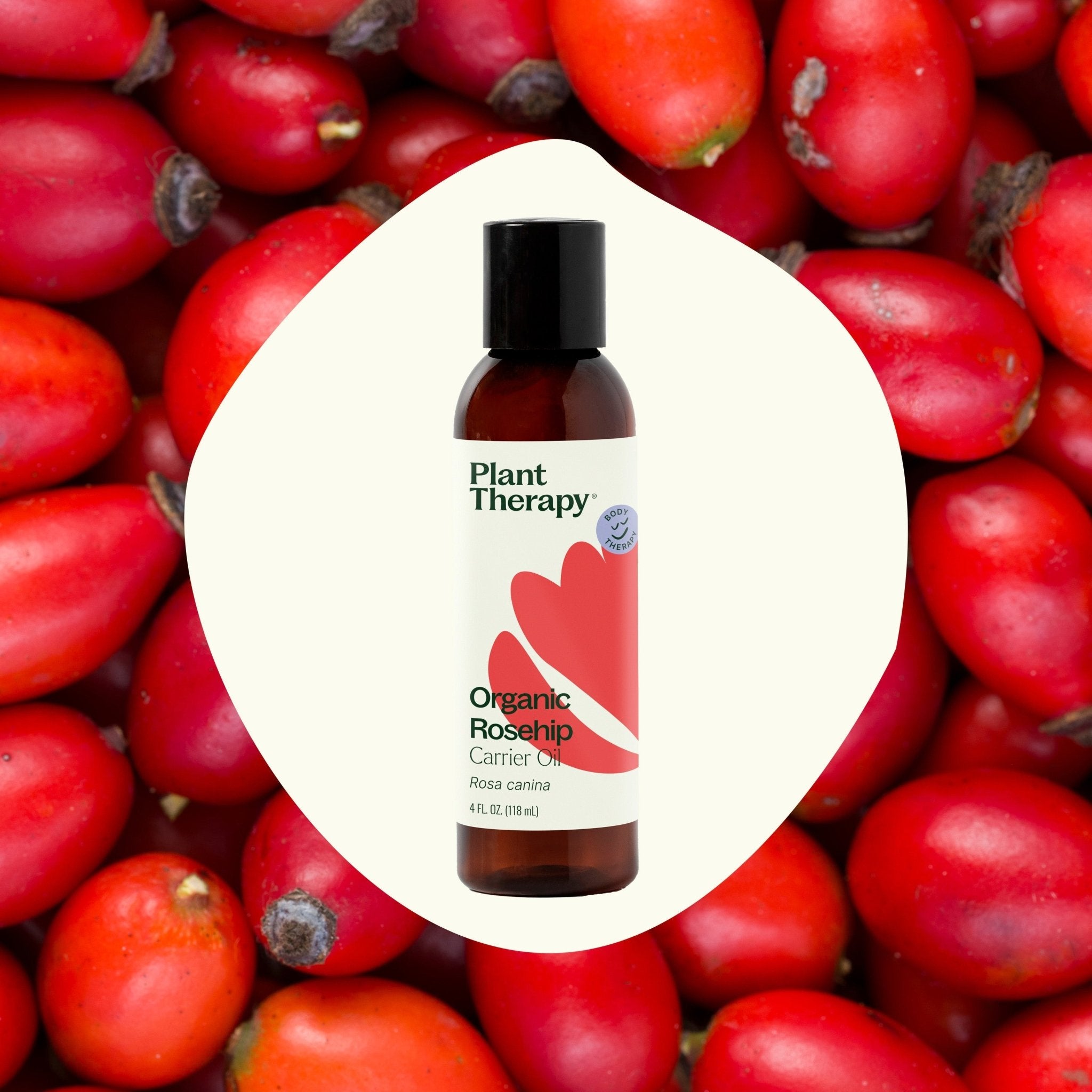 Organic Rosehip Carrier Oil Extra Virgin Plant Therapy