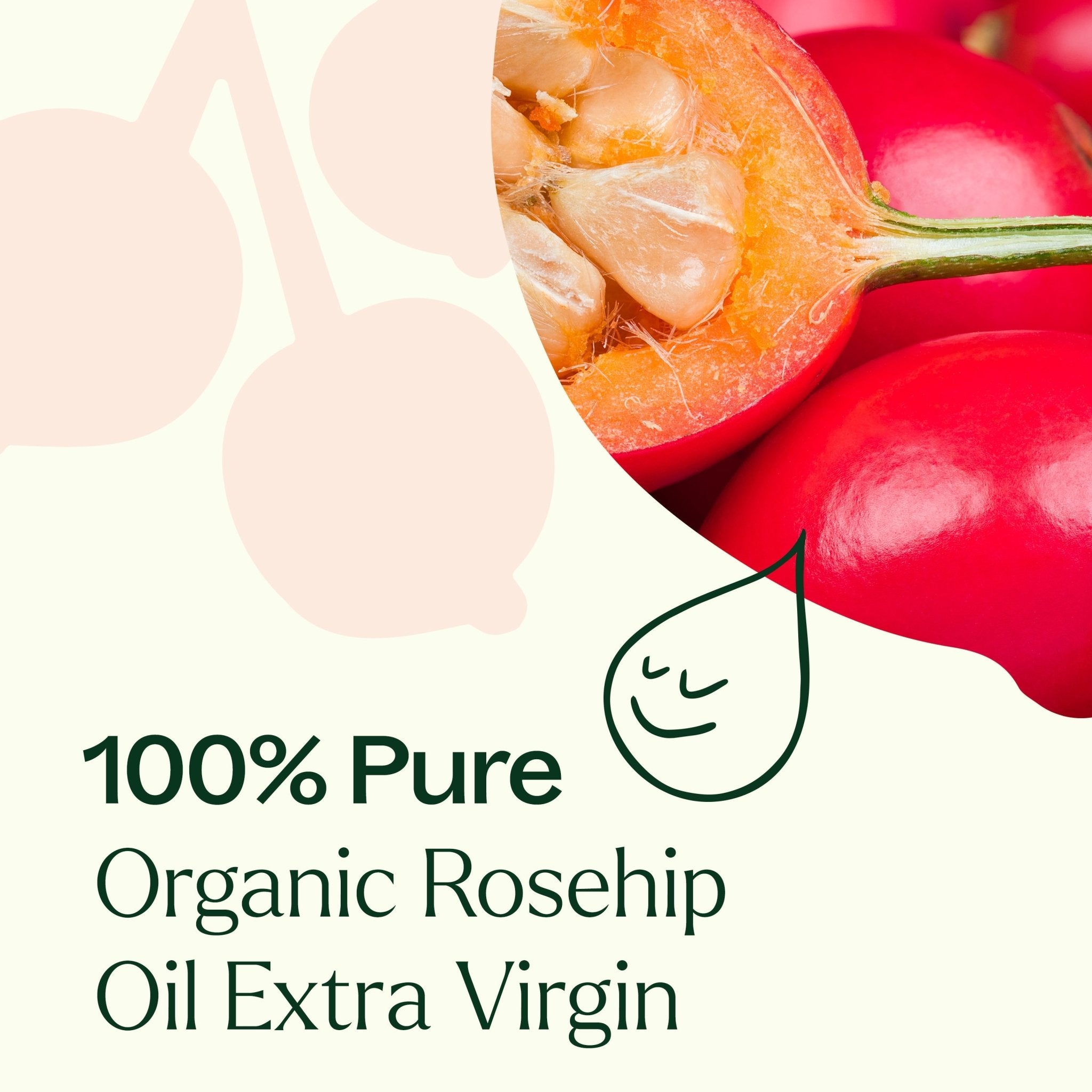 Organic Rosehip Carrier Oil Extra Virgin Plant Therapy