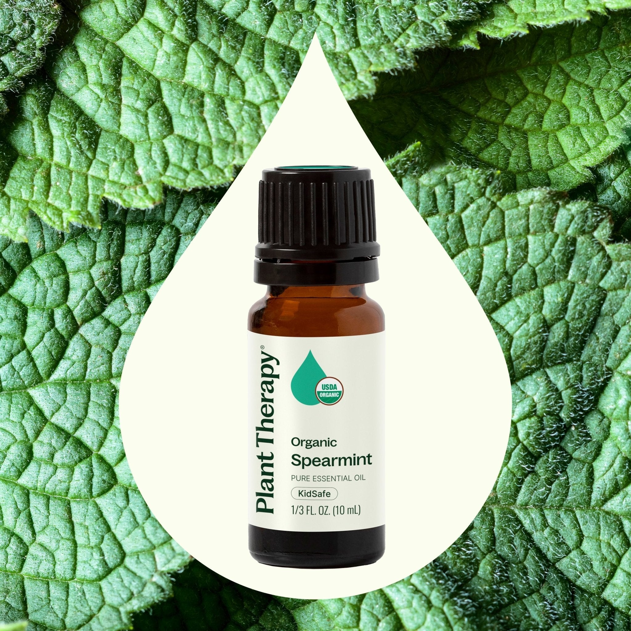 Organic Spearmint Essential Oil Plant Therapy