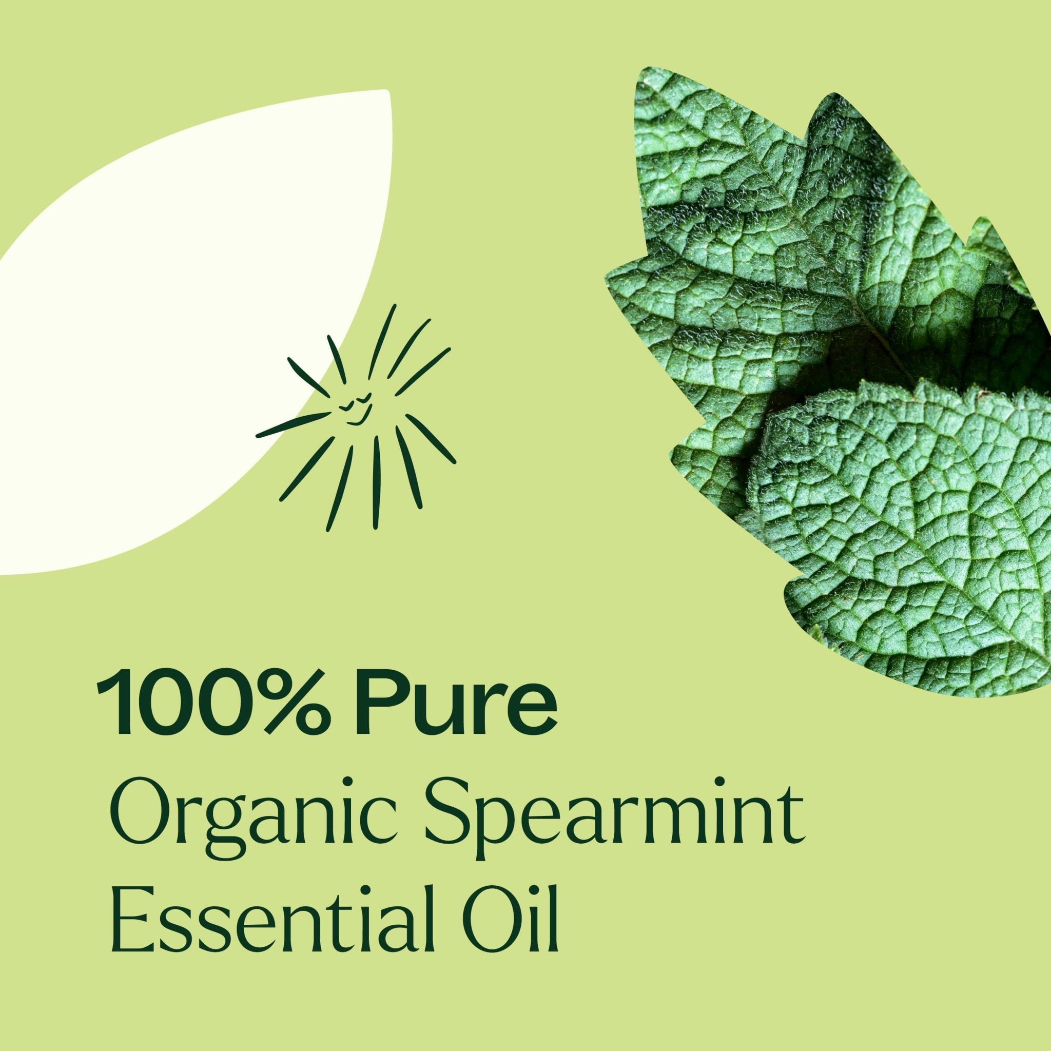 Organic Spearmint Essential Oil Plant Therapy