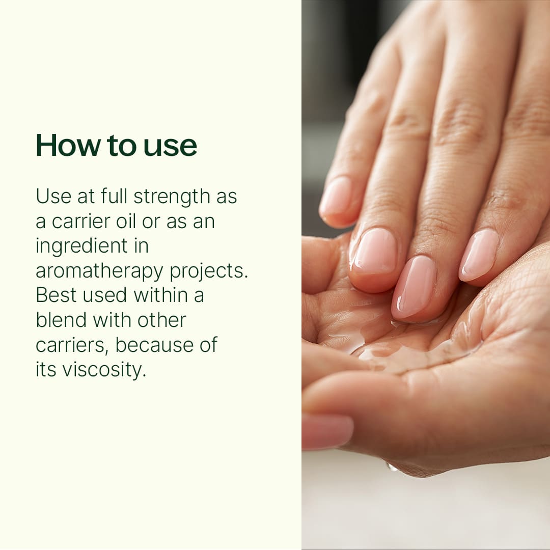 Organic Tamanu Carrier Oil 4 oz Plant Therapy