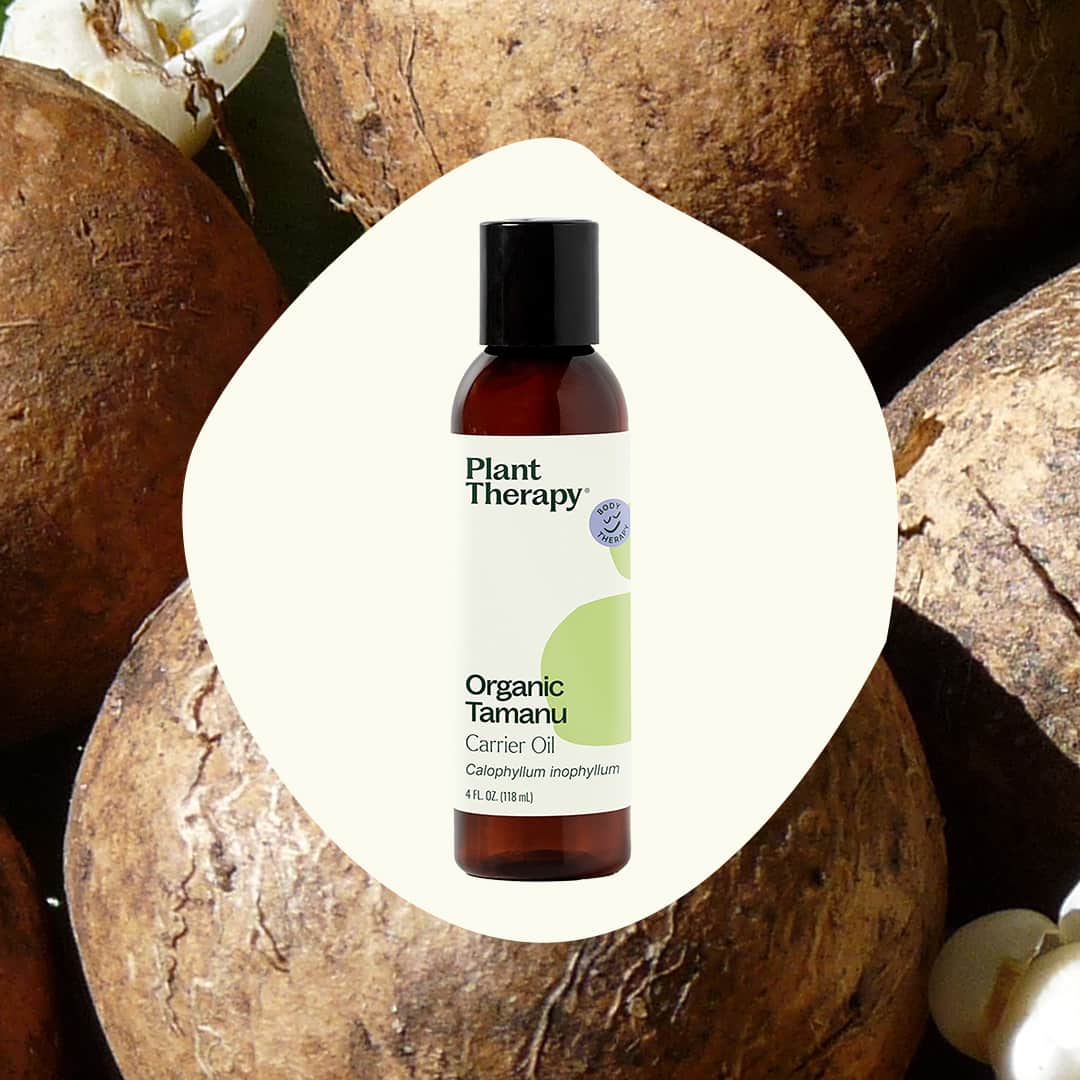 Organic Tamanu Carrier Oil 4 oz Plant Therapy