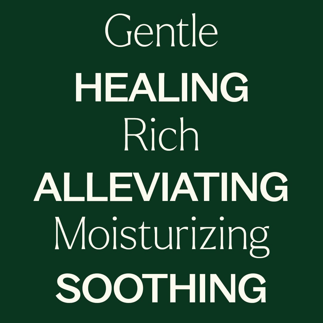 Organic Tamanu Carrier Oil 4 oz Plant Therapy