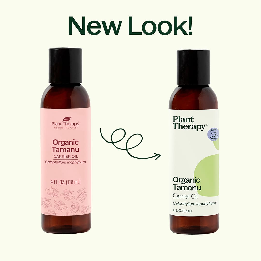 Organic Tamanu Carrier Oil 4 oz Plant Therapy