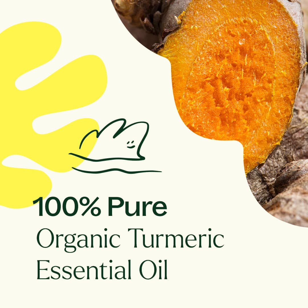Organic Turmeric CO2 Extract Plant Therapy