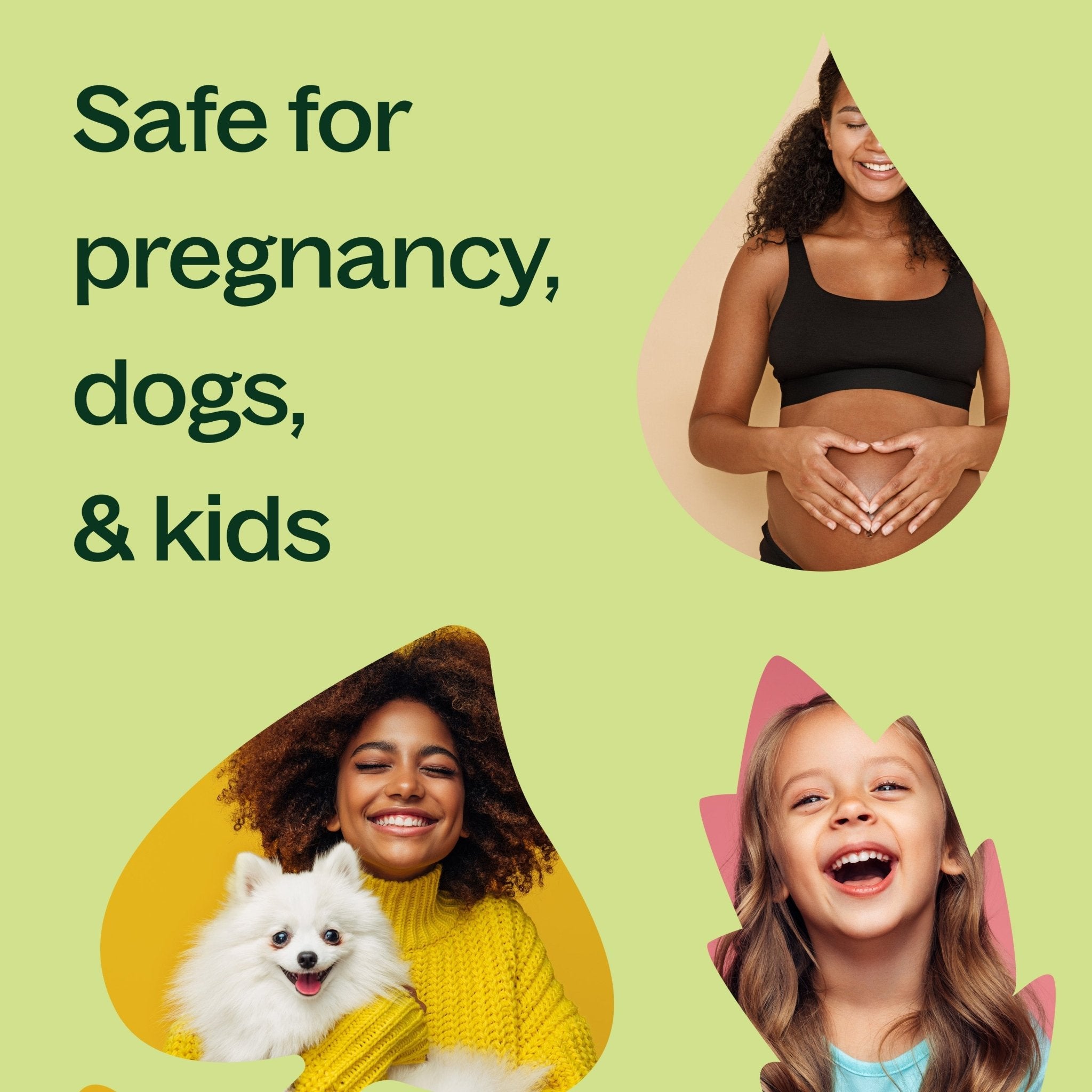 Organic Ylang Ylang Complete Essential Oil Plant Therapy