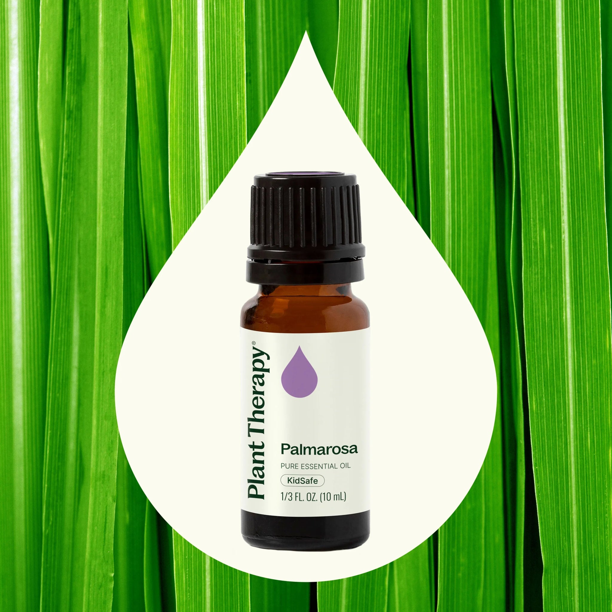 Palmarosa Essential Oil Plant Therapy