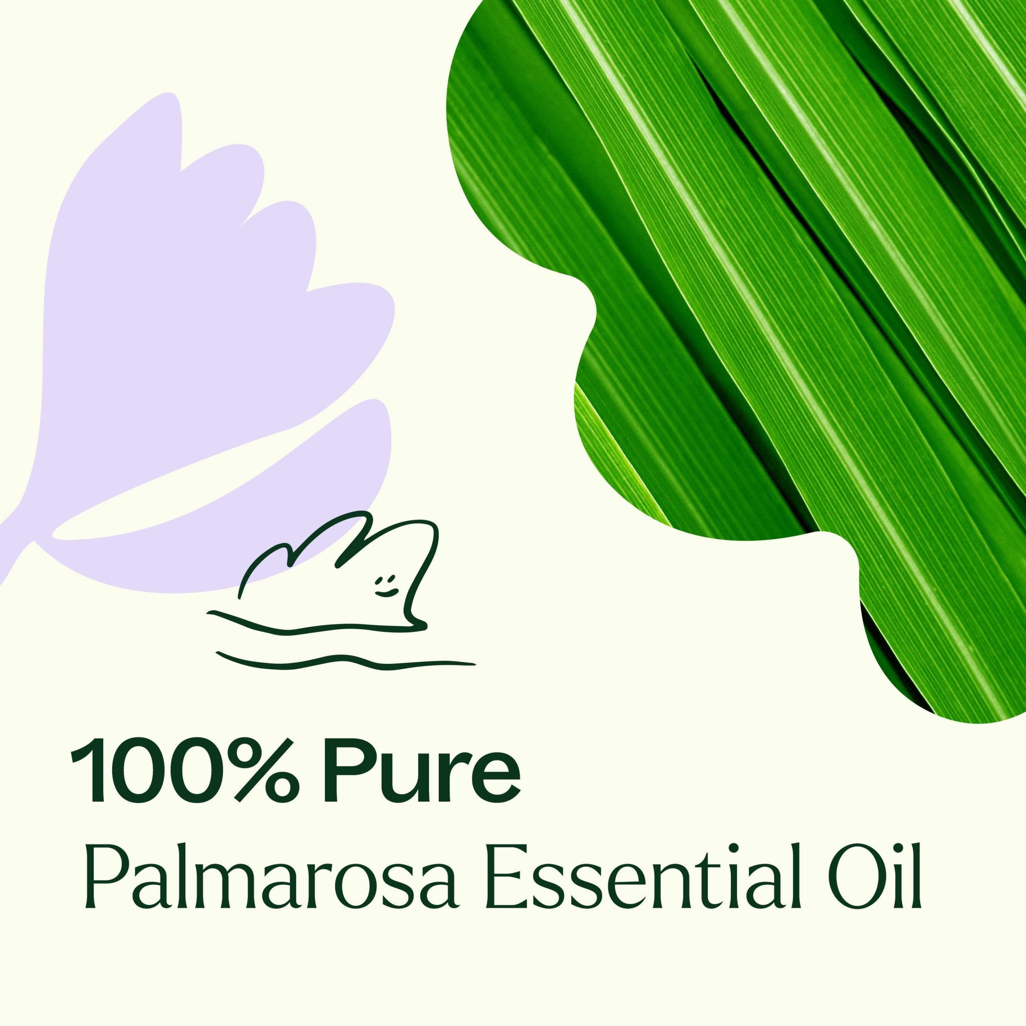 Palmarosa Essential Oil Plant Therapy