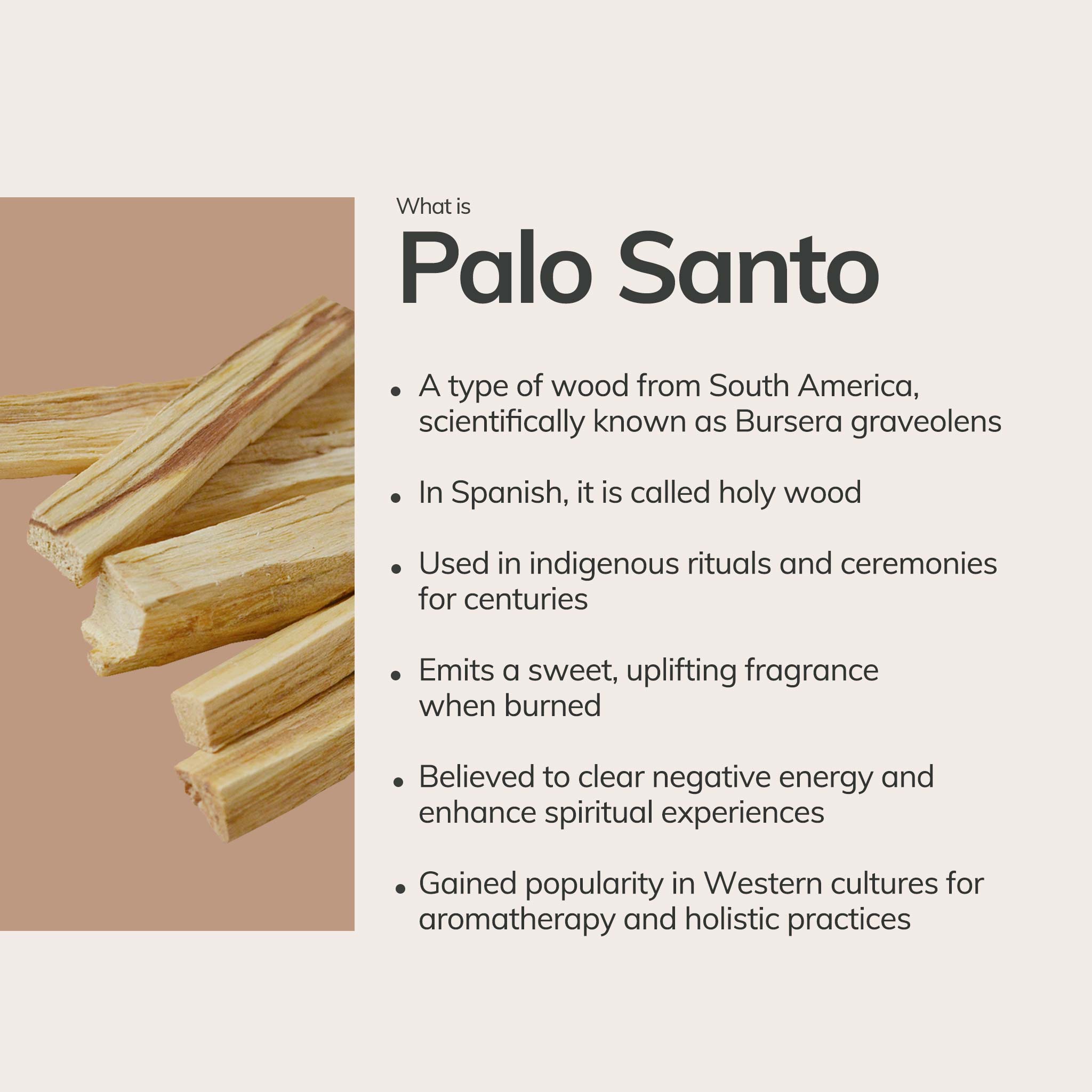 Palo Santo Incense Sticks – 7 Hand - Rolled Sticks from Peru CEDAR AND MYRRH