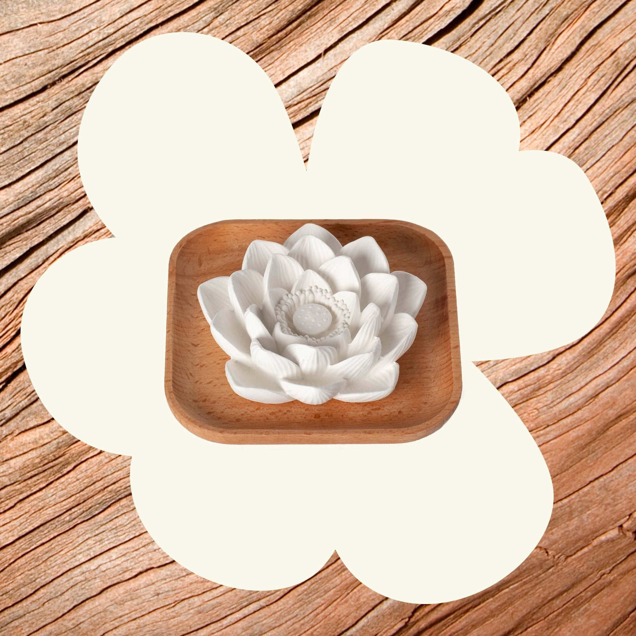 Passive Lotus Diffuser Plant Therapy