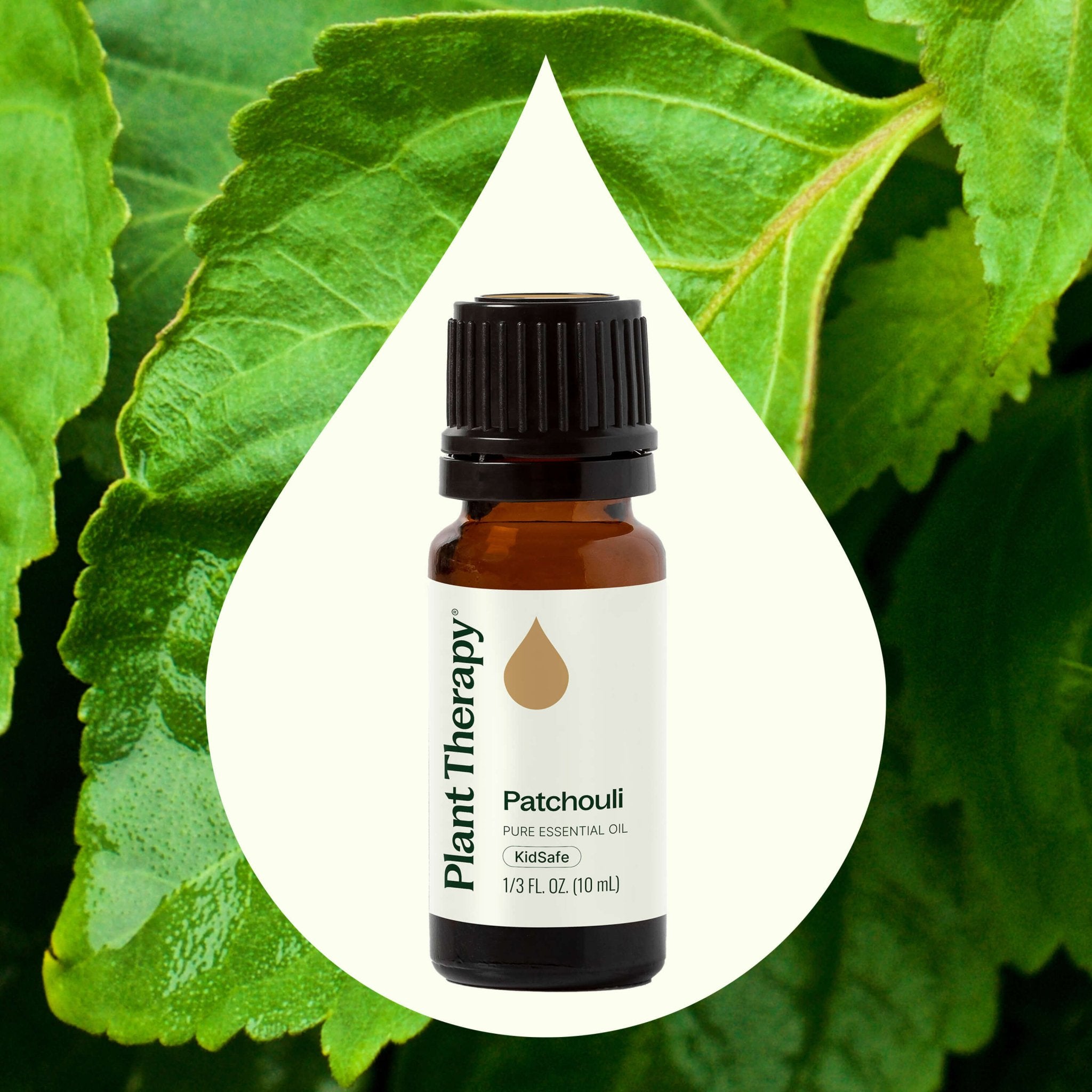 Patchouli Essential Oil Plant Therapy