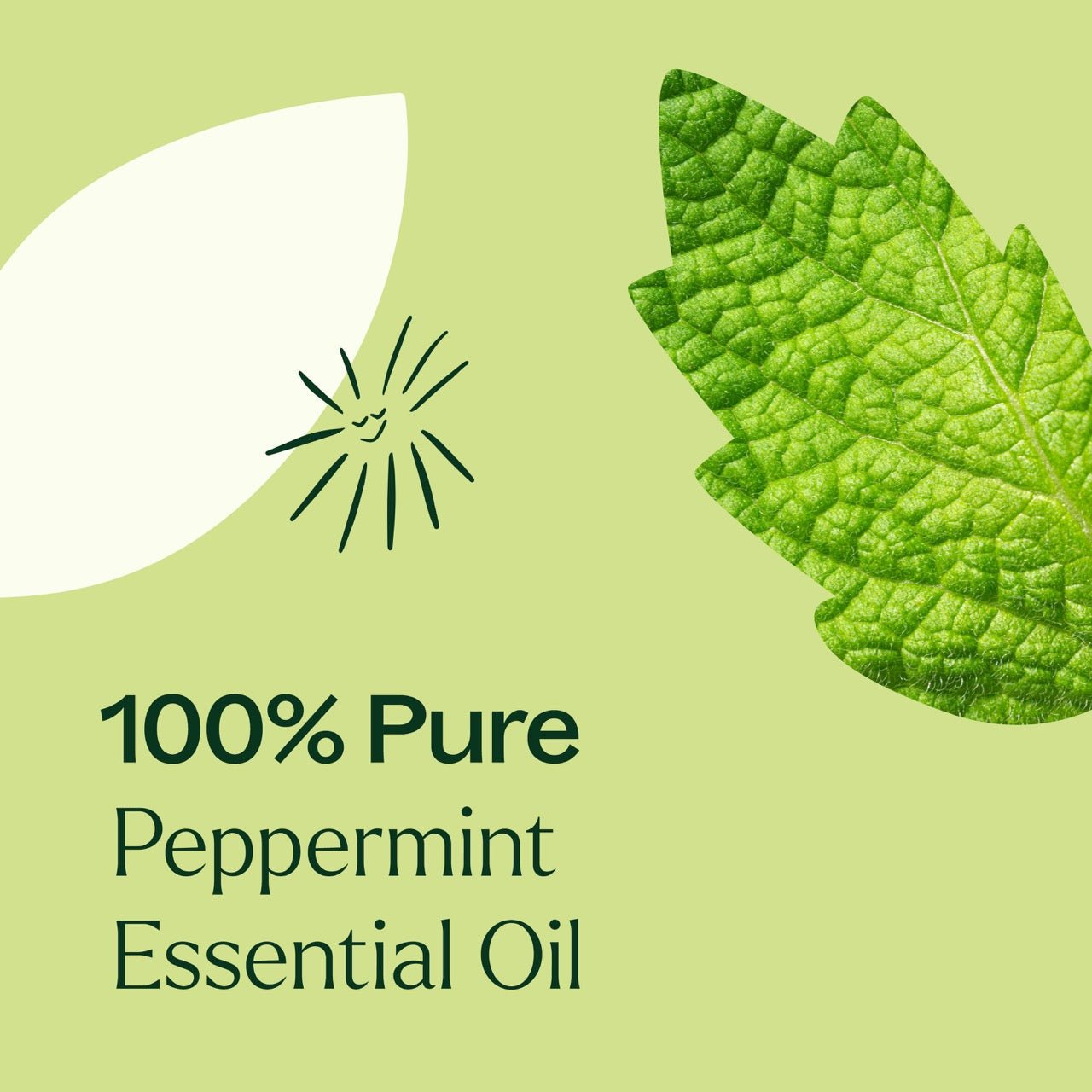 Peppermint Essential Oil Plant Therapy