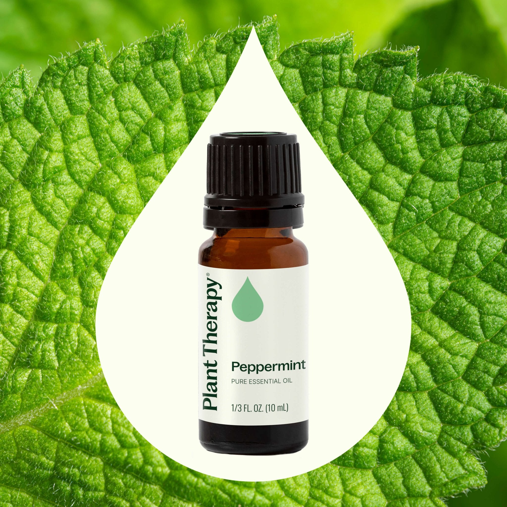 Peppermint Essential Oil Plant Therapy