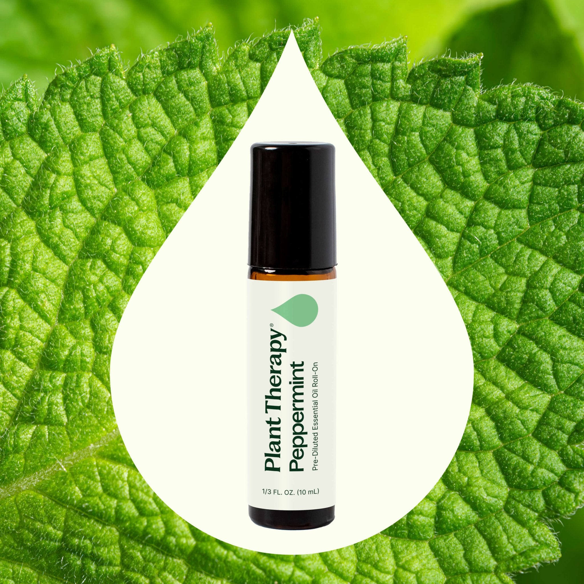 Peppermint Essential Oil Pre - Diluted Roll - On Plant Therapy