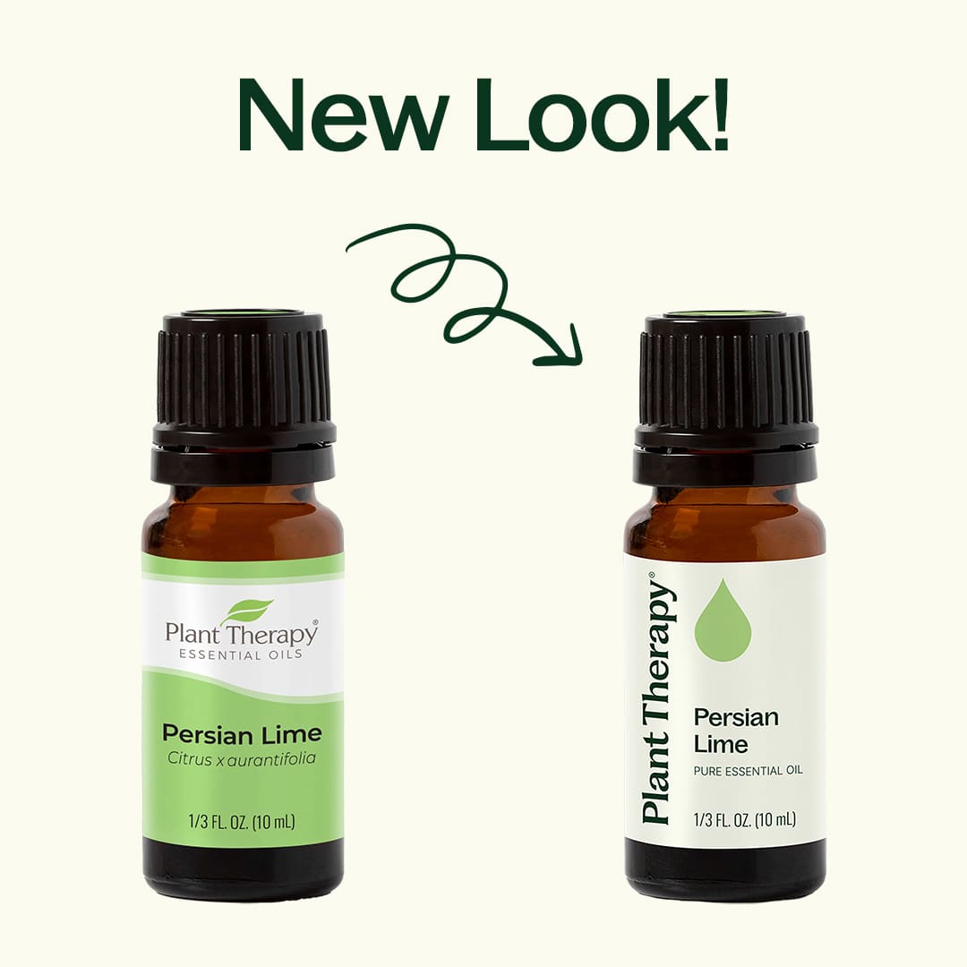 Persian Lime Essential Oil Plant Therapy