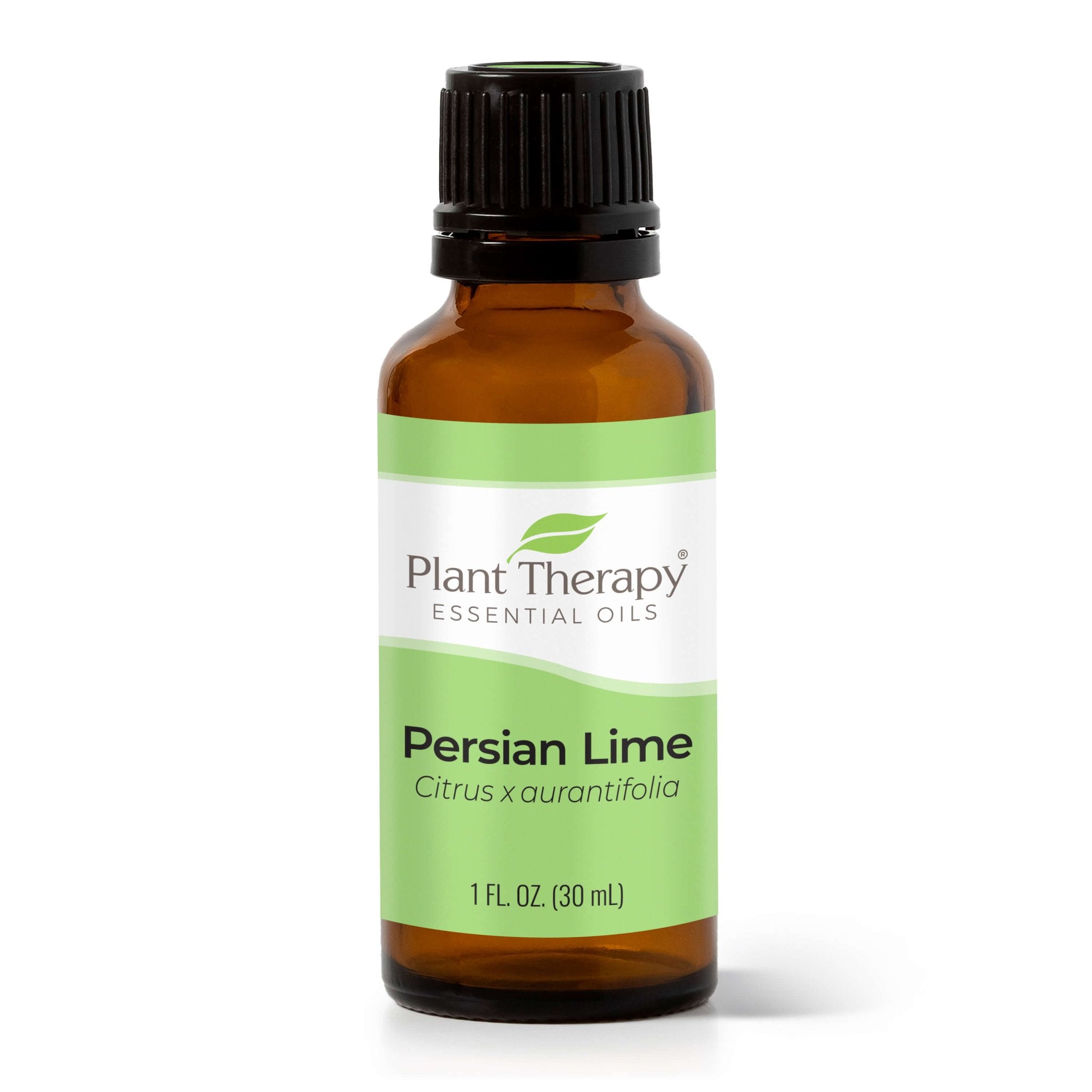 Persian Lime Essential Oil Plant Therapy
