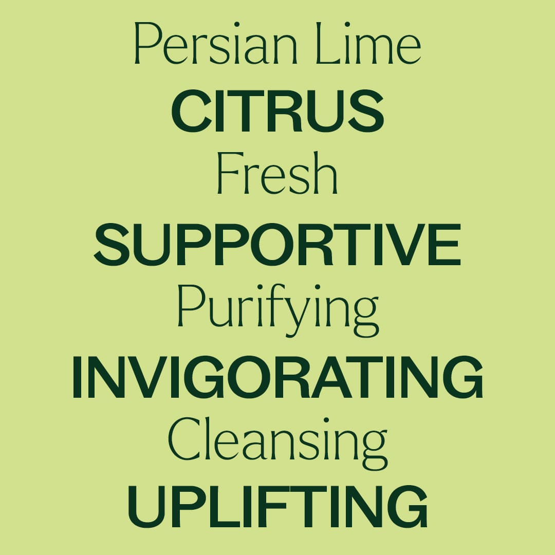 Persian Lime Essential Oil Plant Therapy