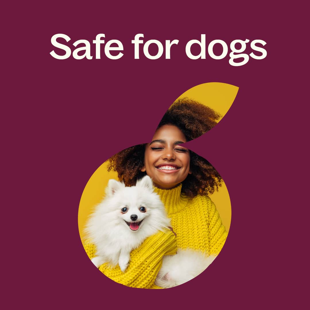 Peru Balsam Essential Oil Plant Therapy