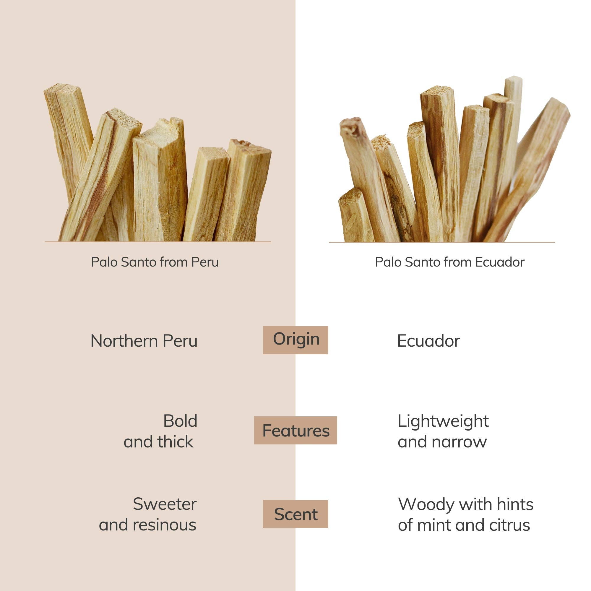 Peruvian Palo Santo Sticks (6 pieces) CEDAR AND MYRRH