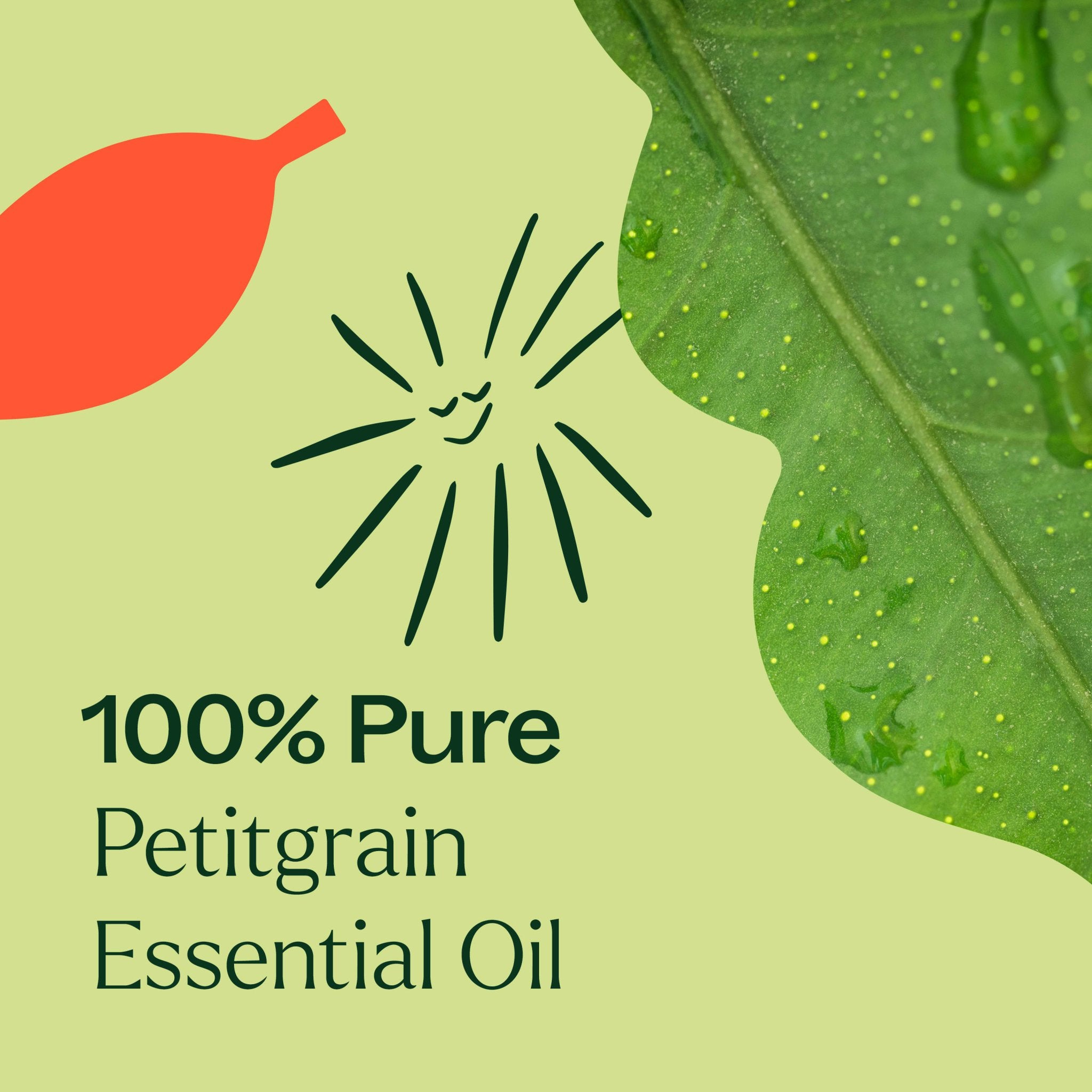 Petitgrain Essential Oil Plant Therapy