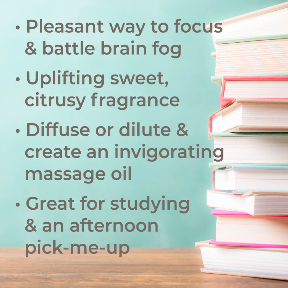 Plant Therapy Brain Aid Essential Oil Blend