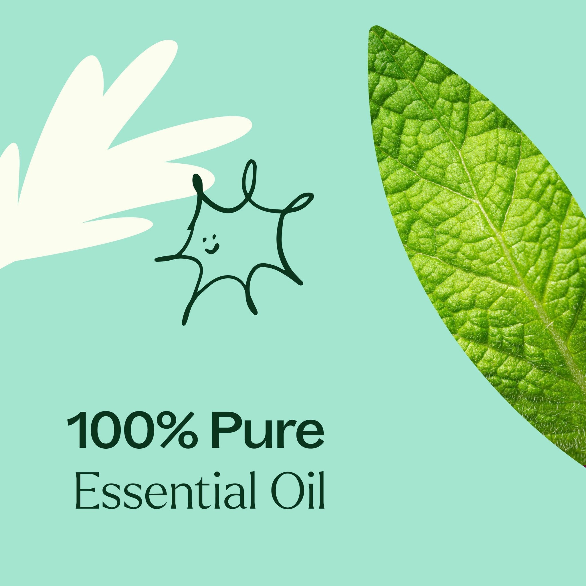 Plant Therapy Tension Relief Essential Oil Blend