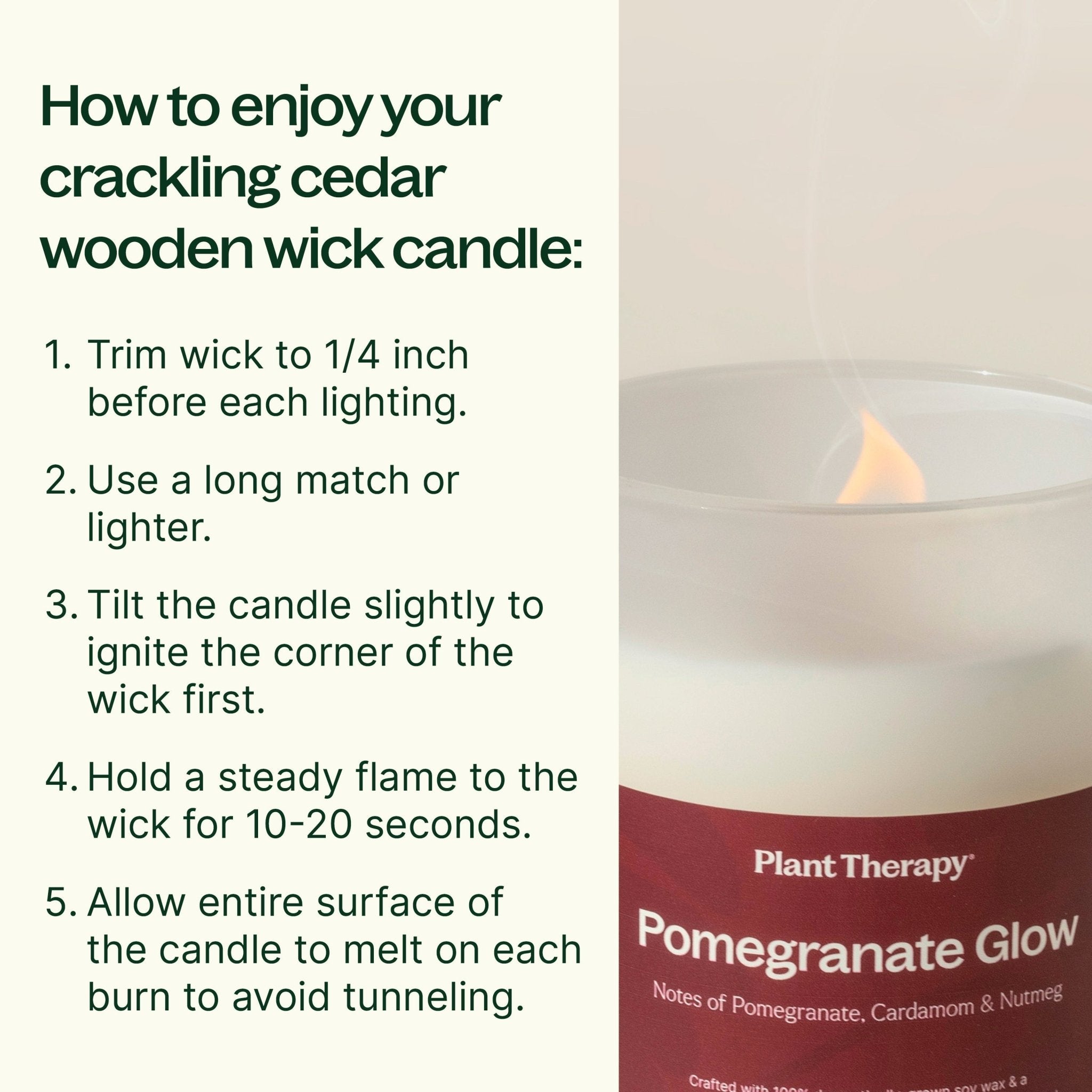 Pomegranate Glow Naturally Scented Candle Plant Therapy