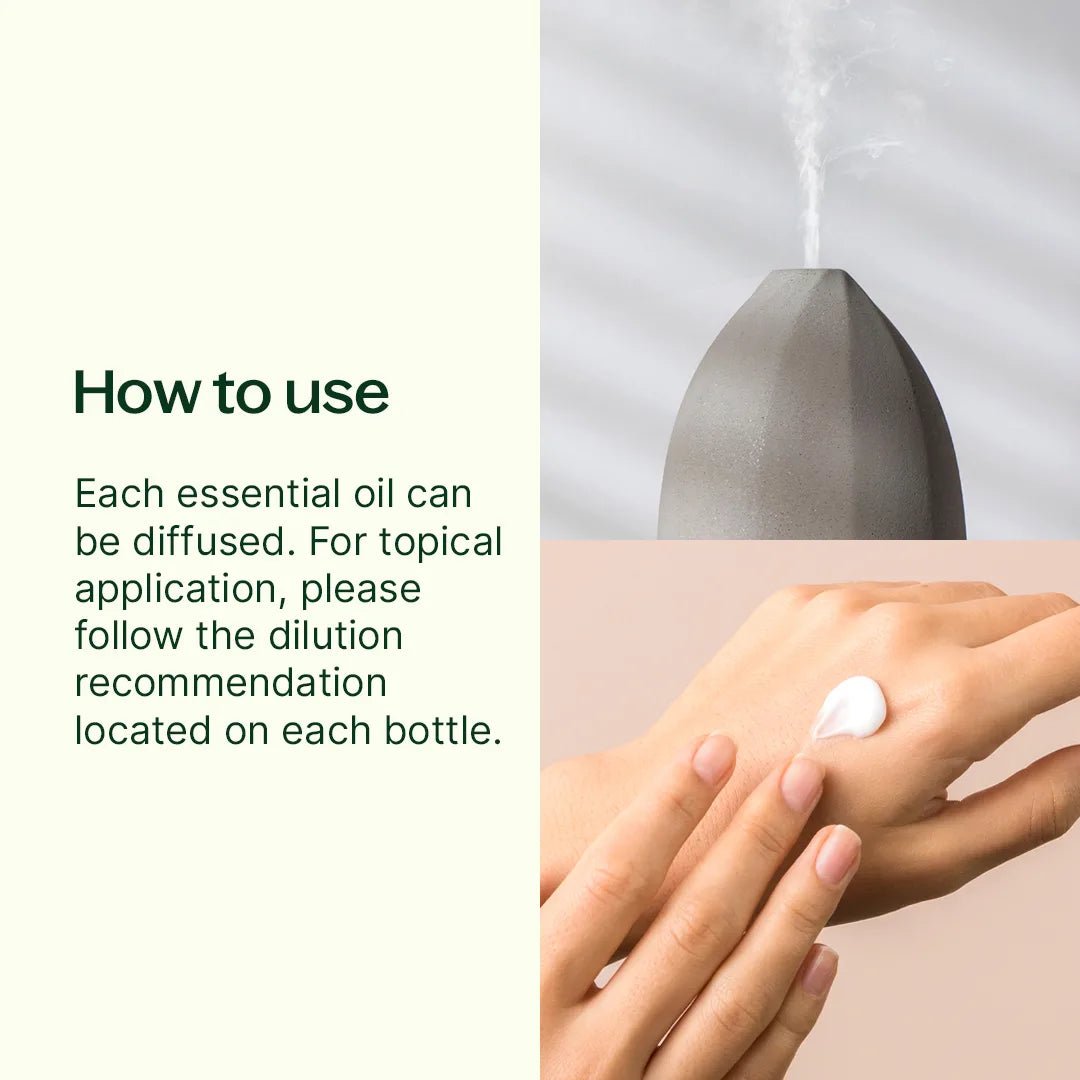 Pumpkins & Porch Swings Essential Oil Blend 3 Set Plant Therapy