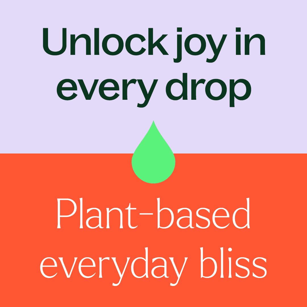 Pumpkins & Porch Swings Essential Oil Blend 3 Set Plant Therapy