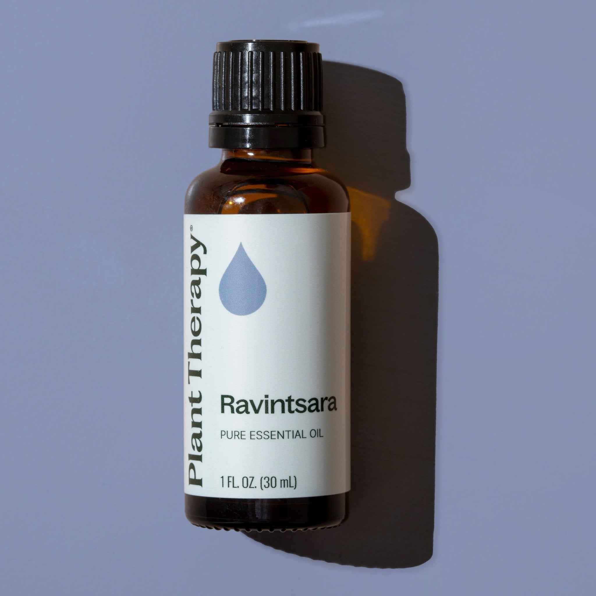 Ravintsara Essential Oil Plant Therapy