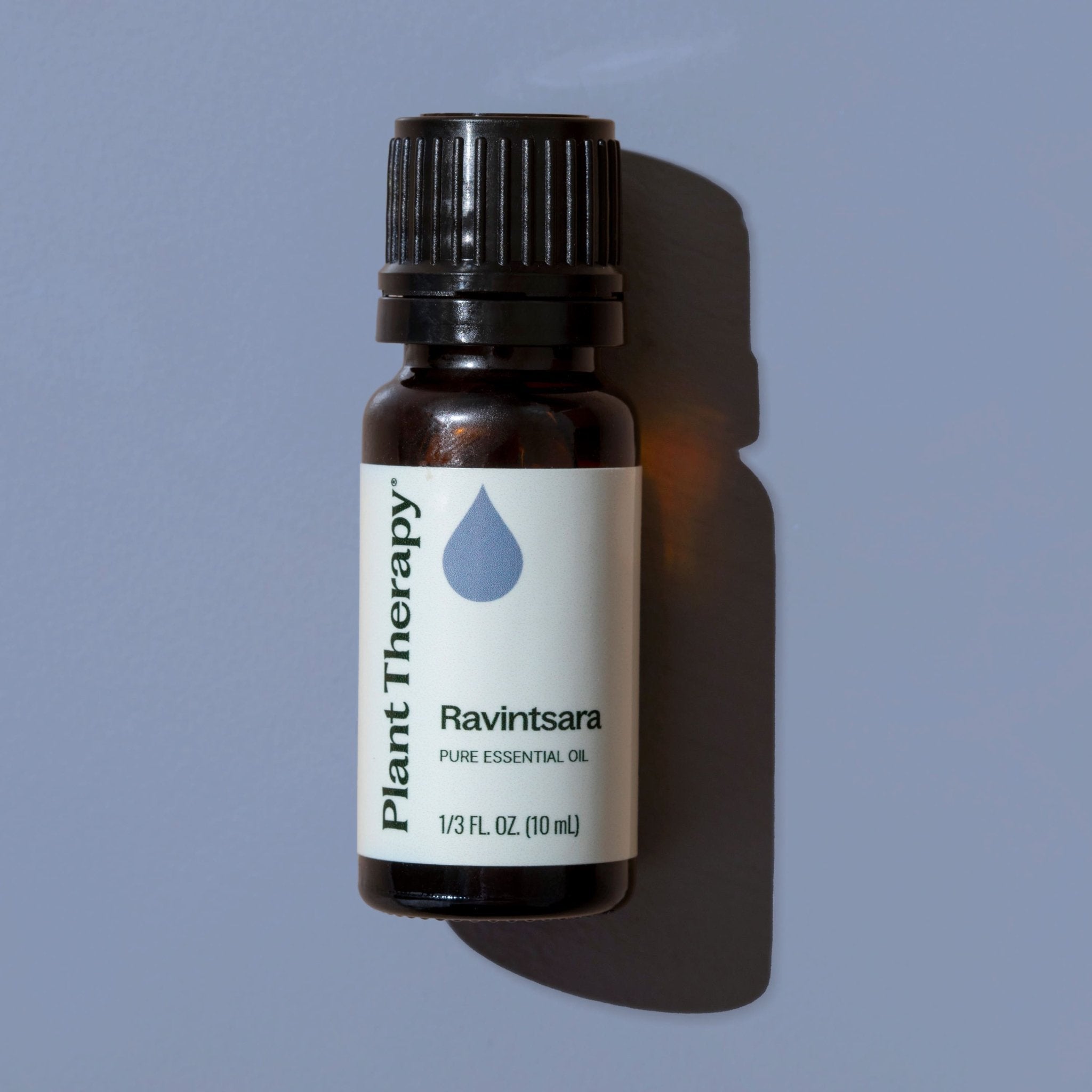 Ravintsara Essential Oil Plant Therapy