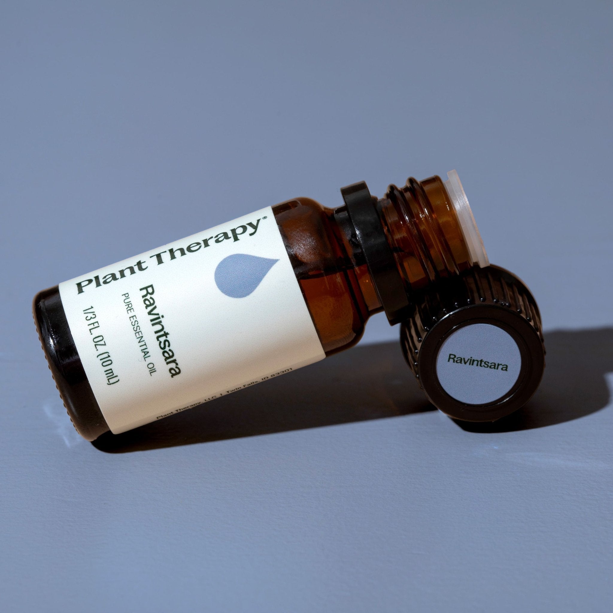 Ravintsara Essential Oil Plant Therapy