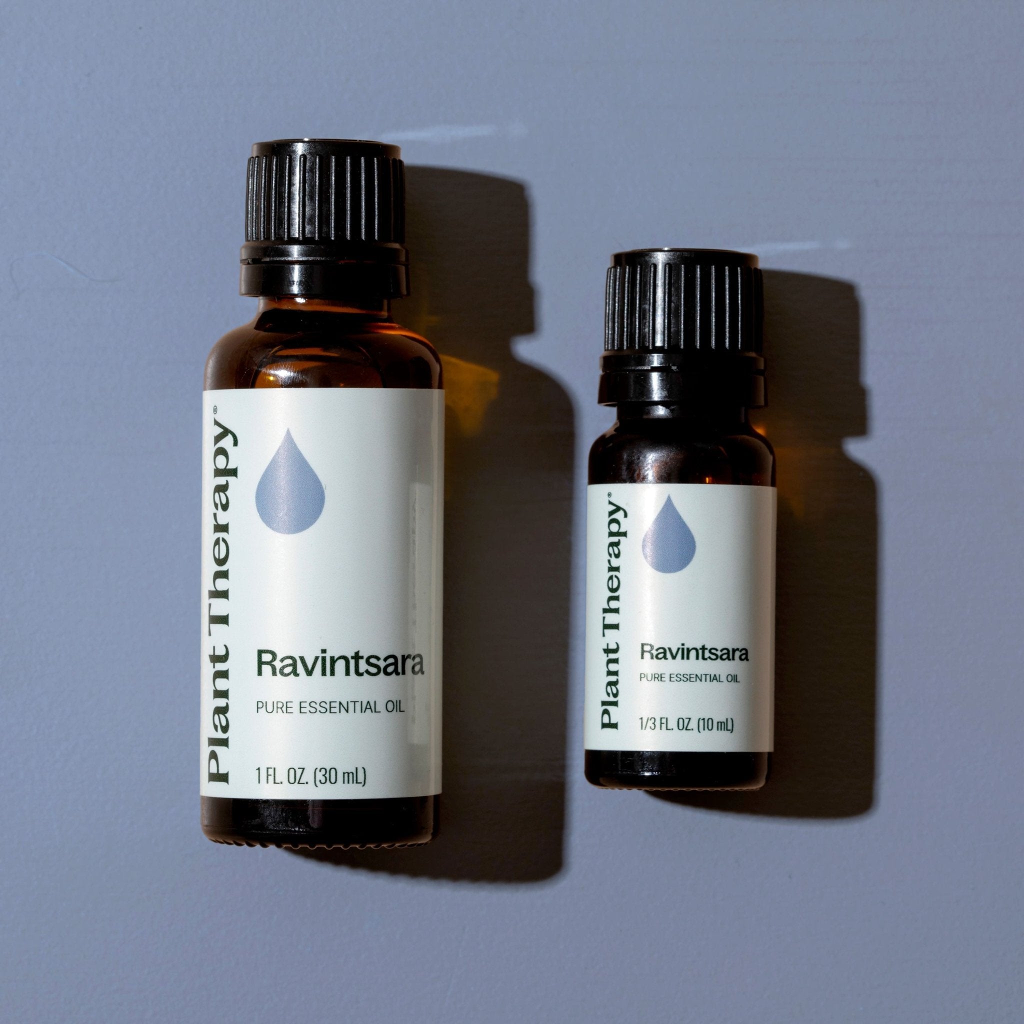 Ravintsara Essential Oil Plant Therapy