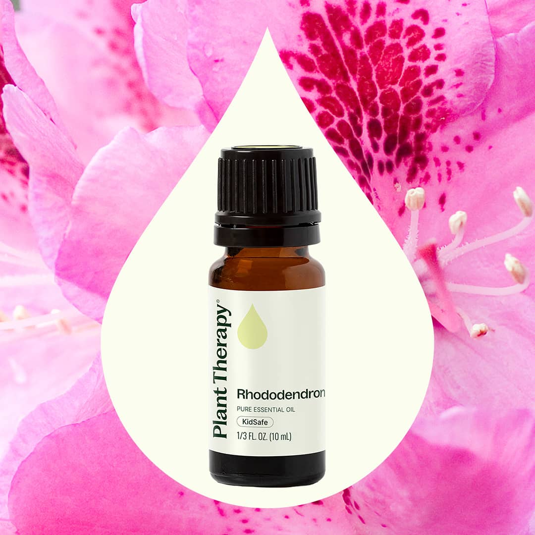 Rhododendron Essential Oil Plant Therapy