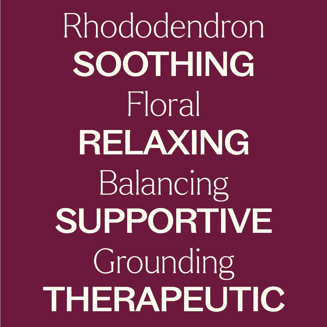 Rhododendron Essential Oil Plant Therapy