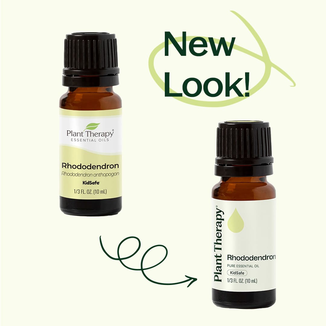 Rhododendron Essential Oil Plant Therapy