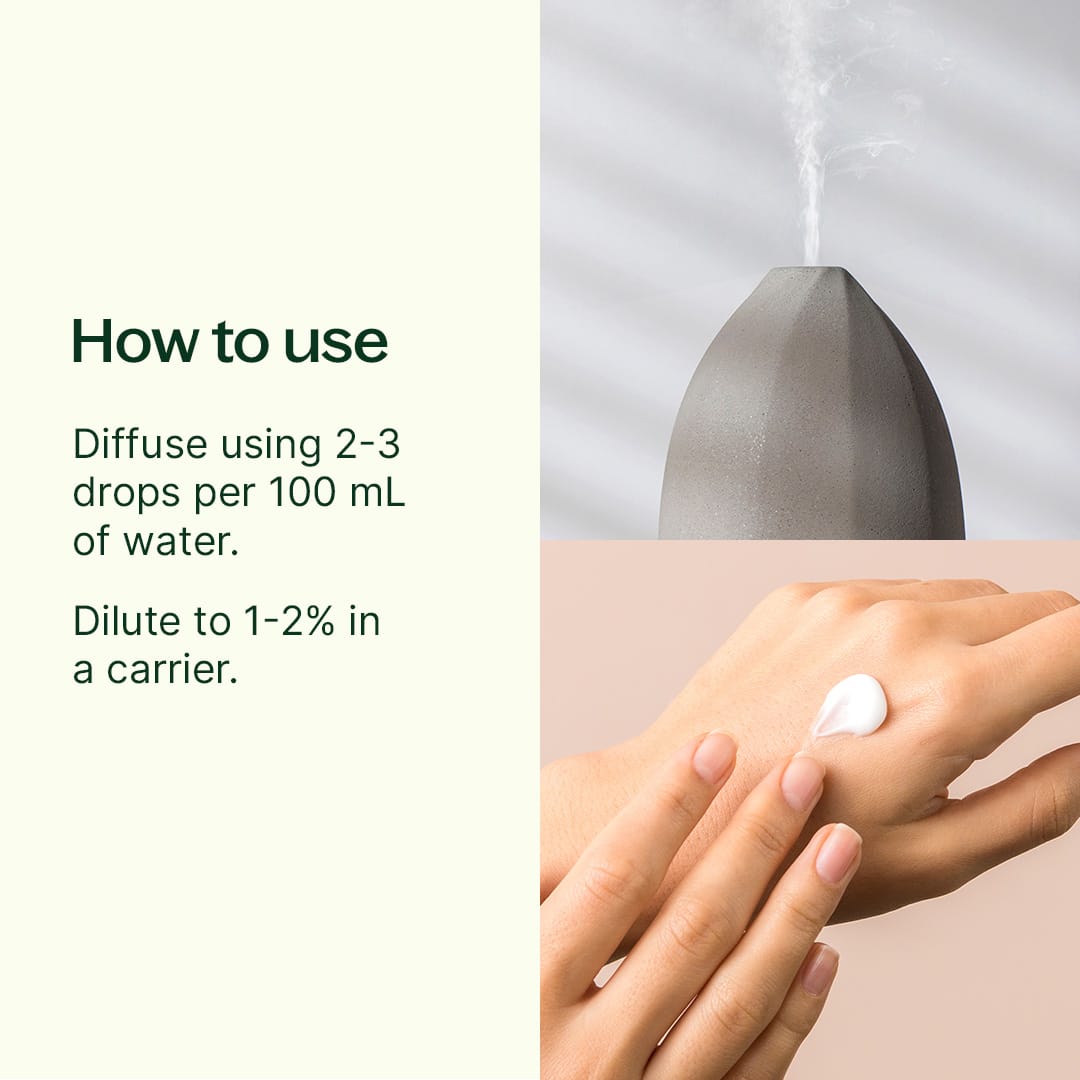 Rhododendron Essential Oil Plant Therapy