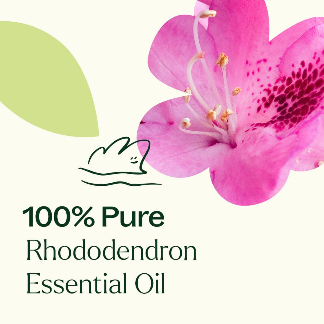 Rhododendron Essential Oil Plant Therapy