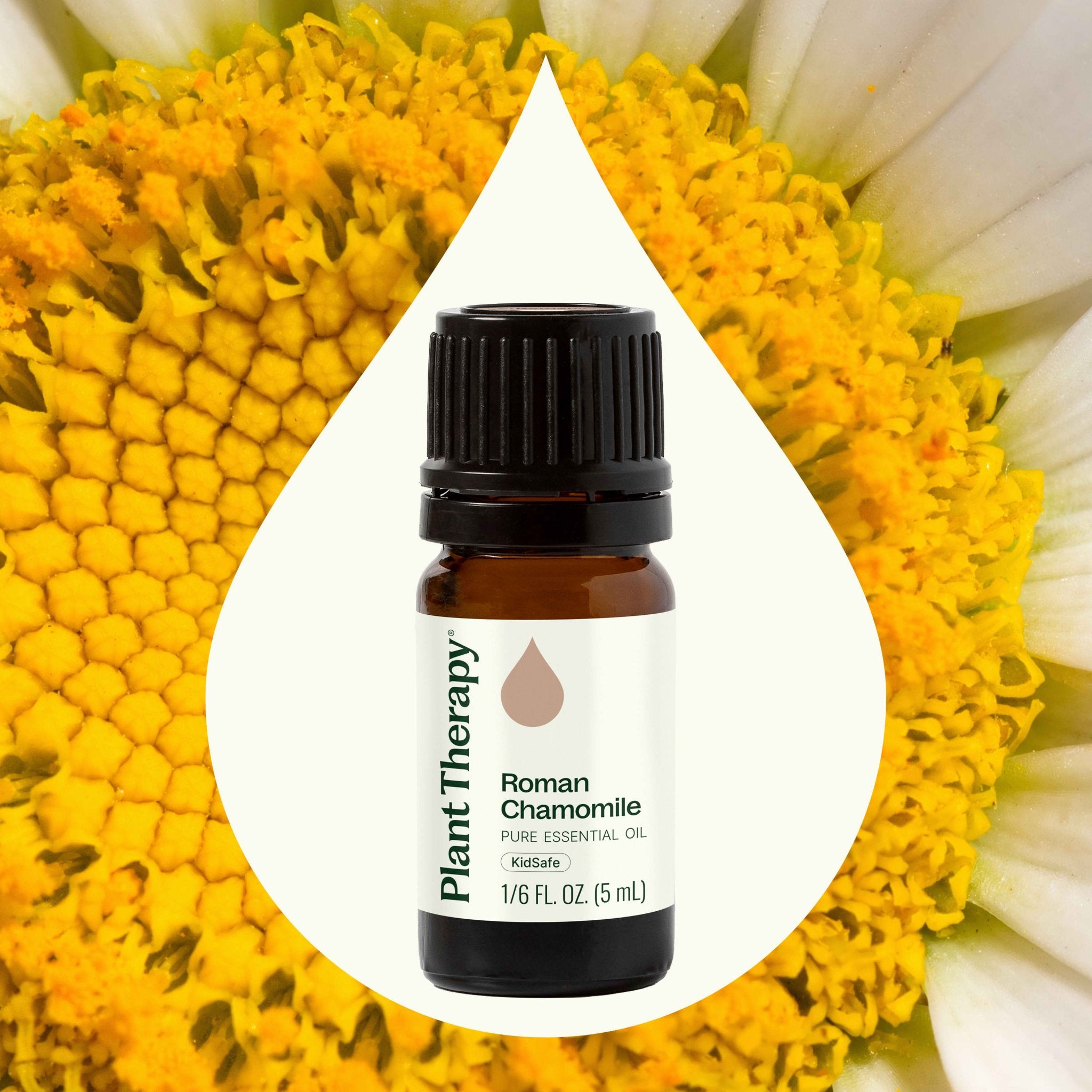 Roman Chamomile Essential Oil Plant Therapy