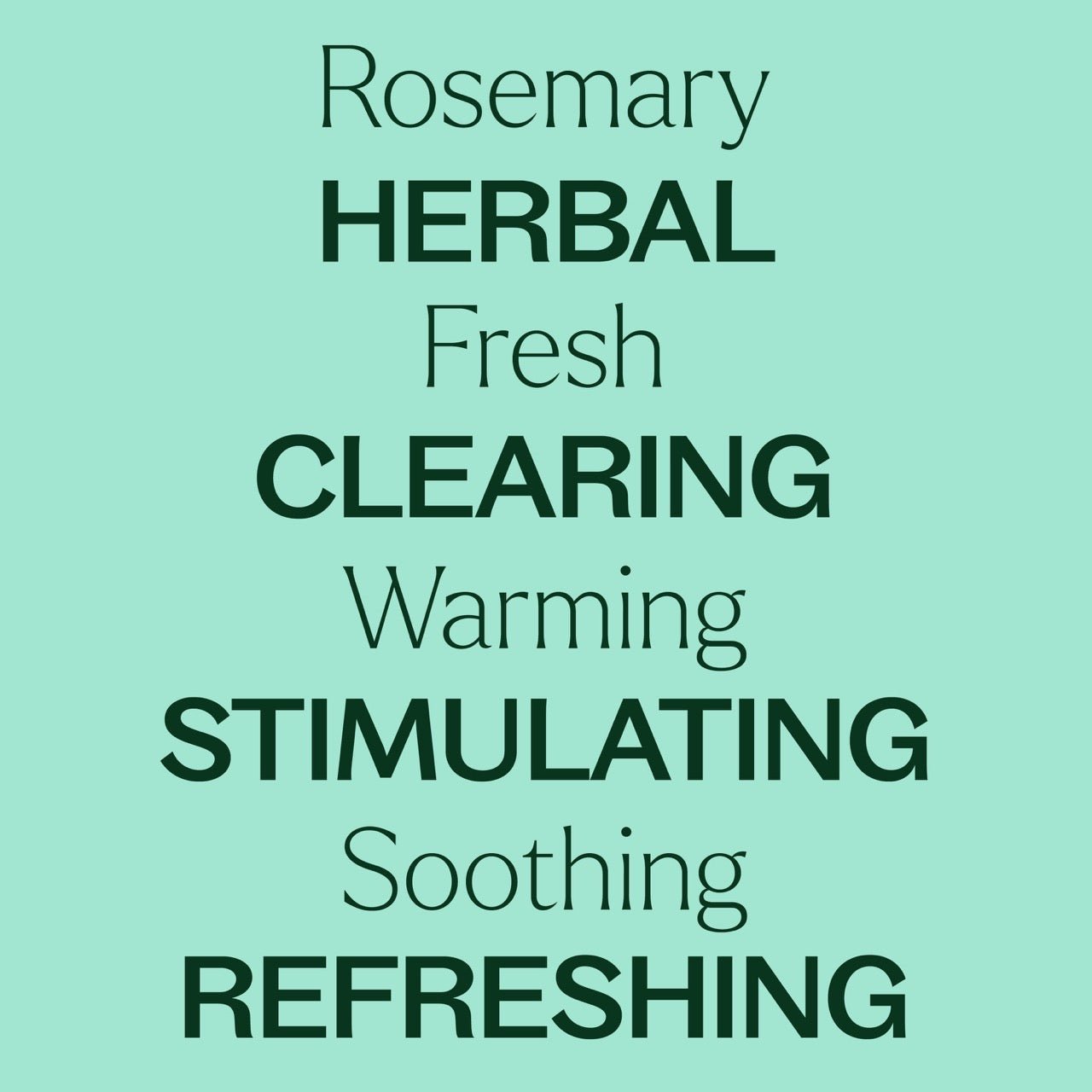 Rosemary 1,8 - Cineole Essential Oil Plant Therapy